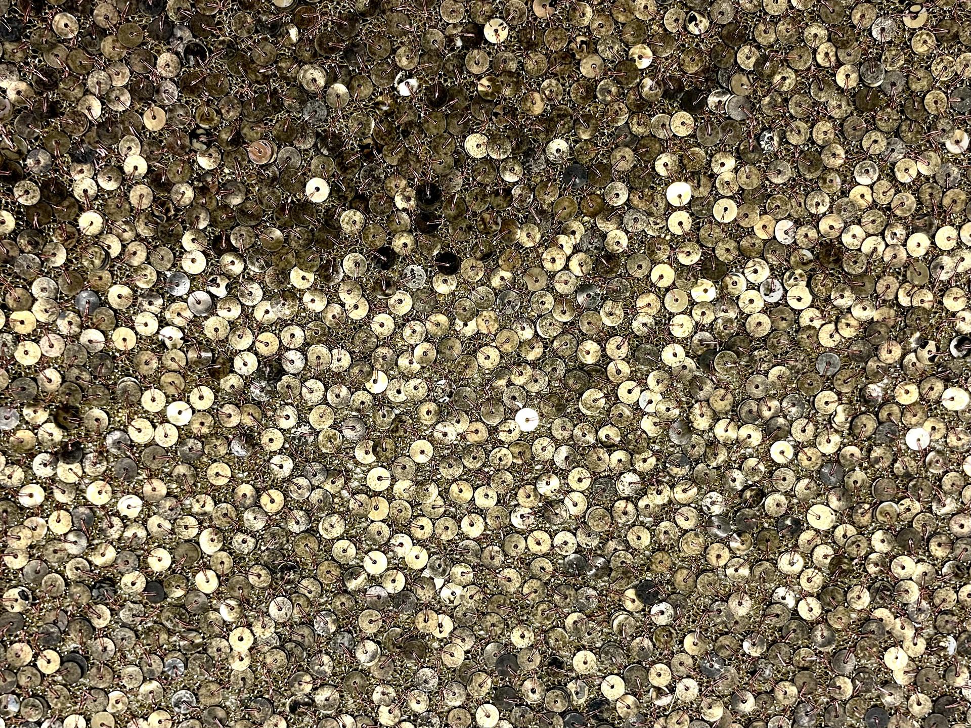 Sequins on Metallic Tulle