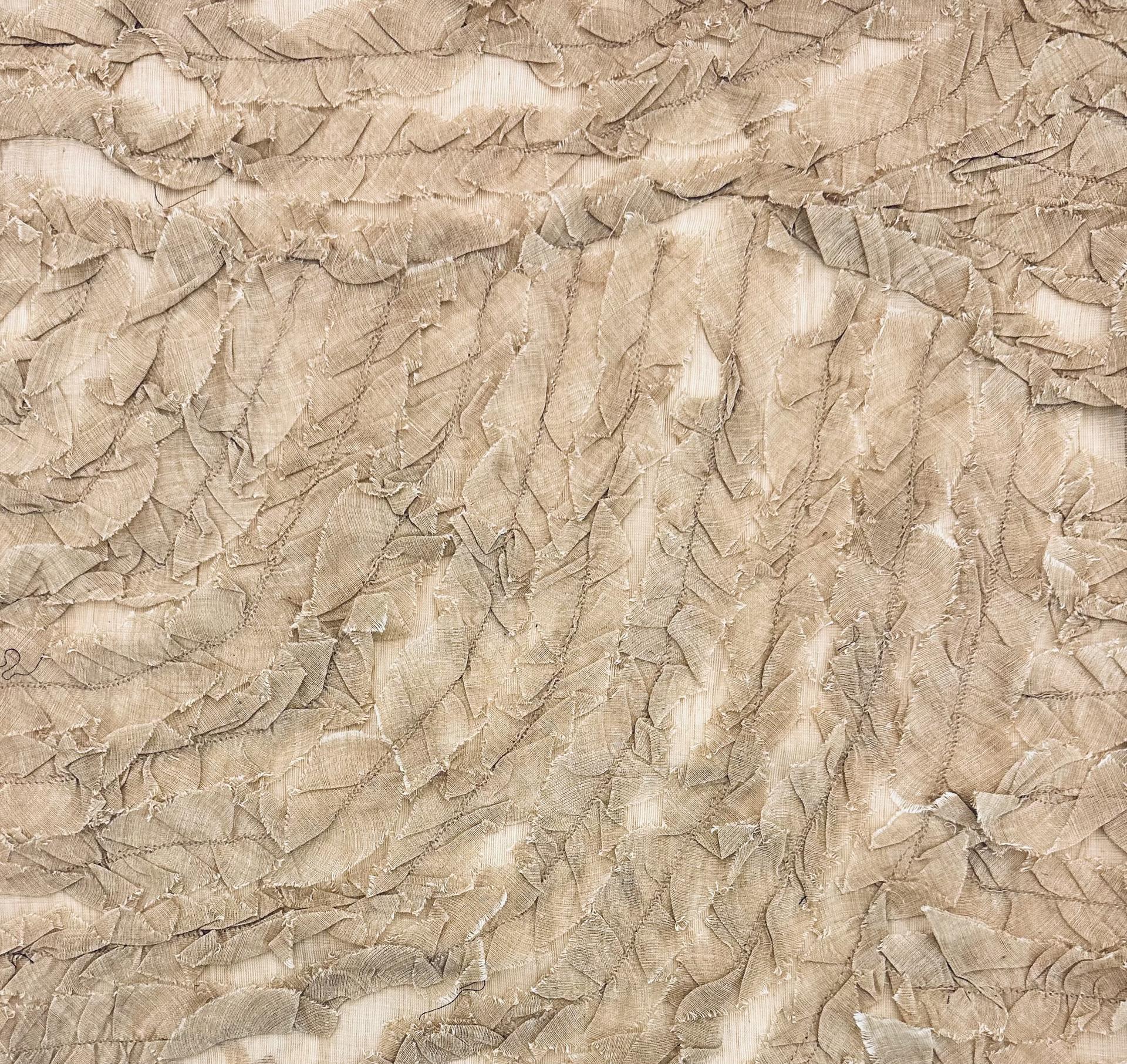 RUFFLE EMBROIDERED COTTON NOVELTY