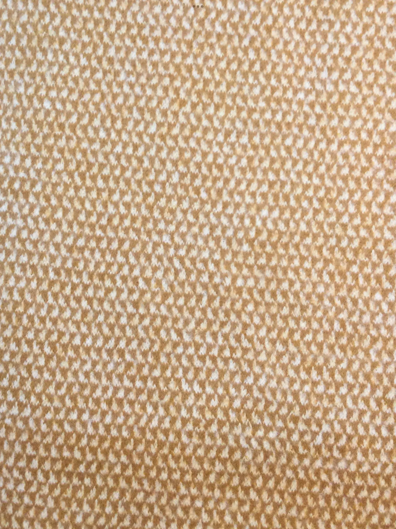 Wool/Cashmere Knit in Tan and Off White