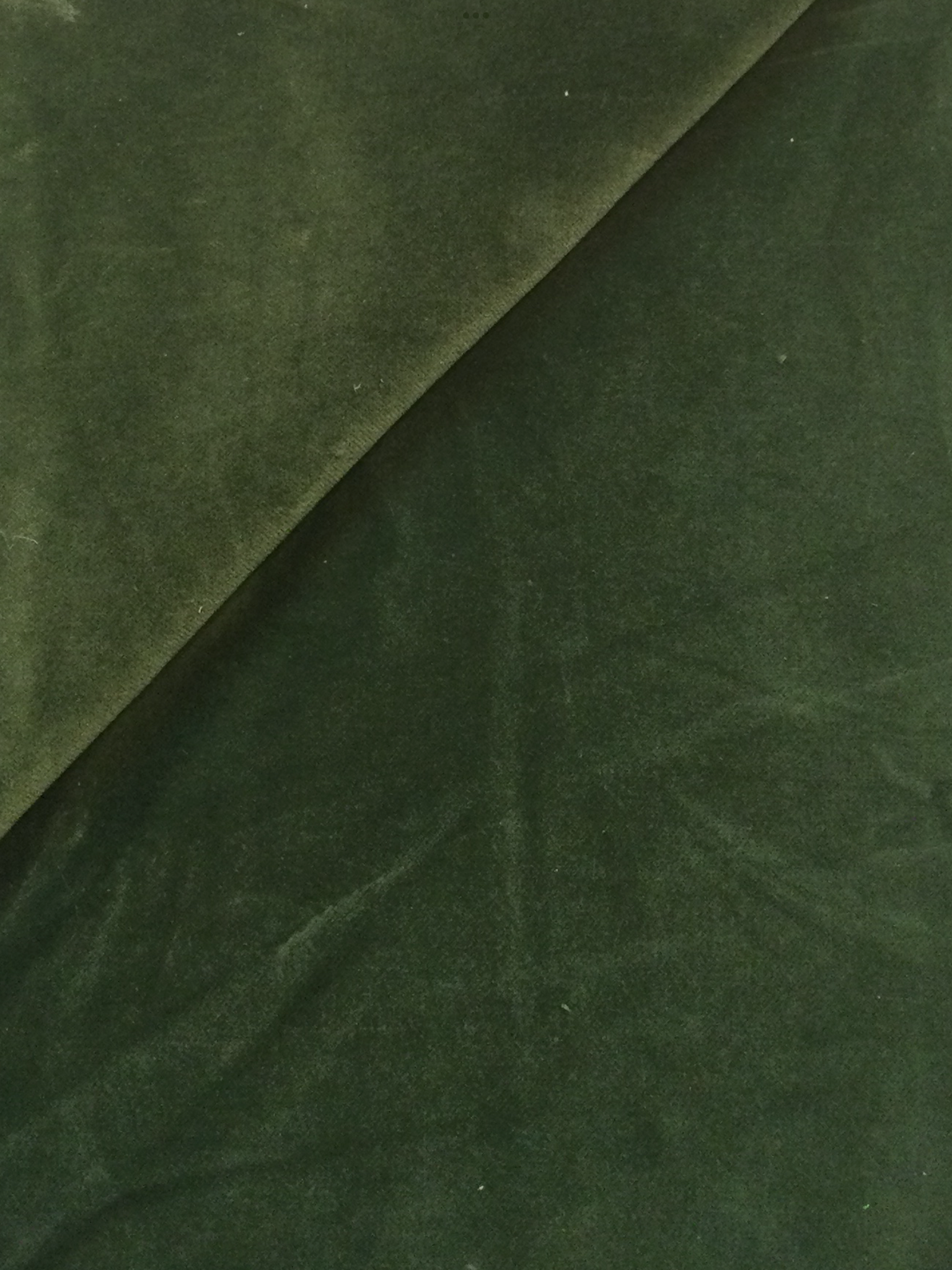 Pure Cotton Velvet in Olive 