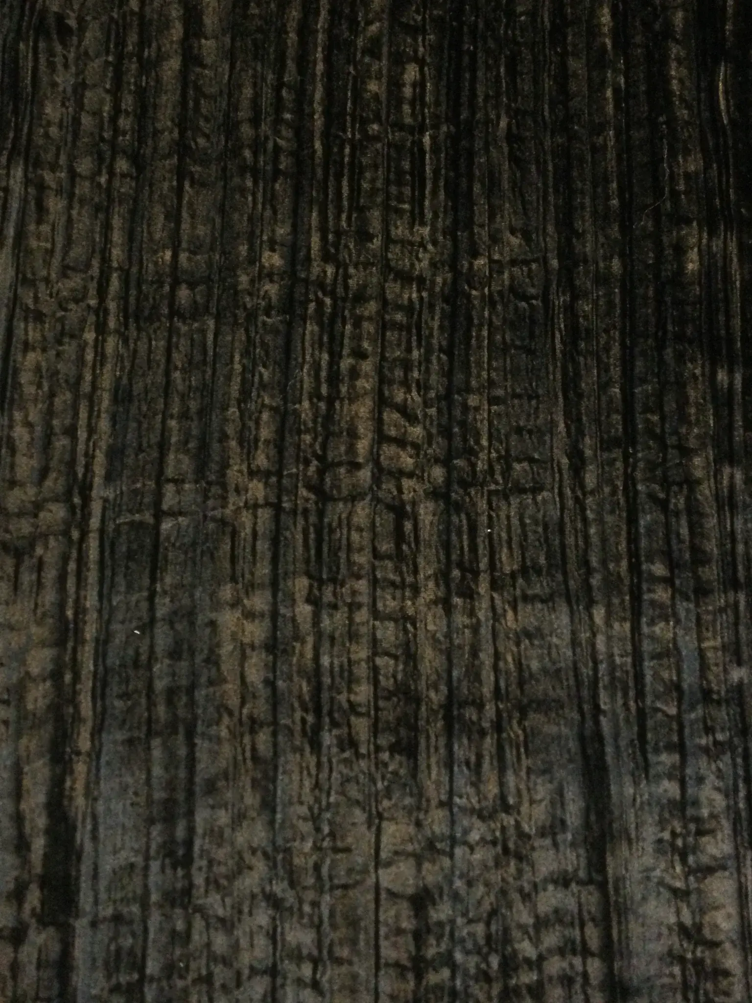 Crushed Silk and Rayon Velvet in Black