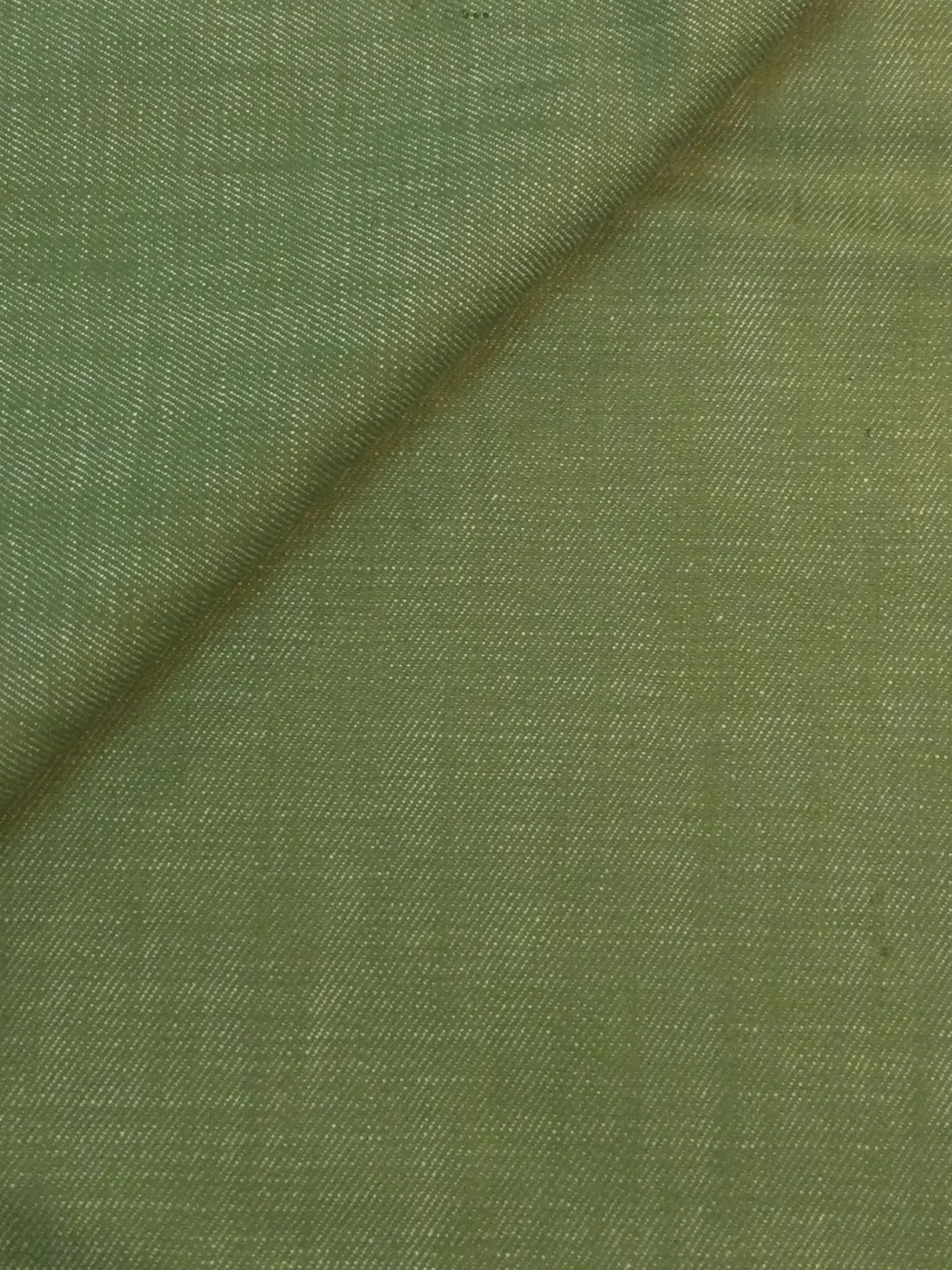 Cotton Denim in Olive