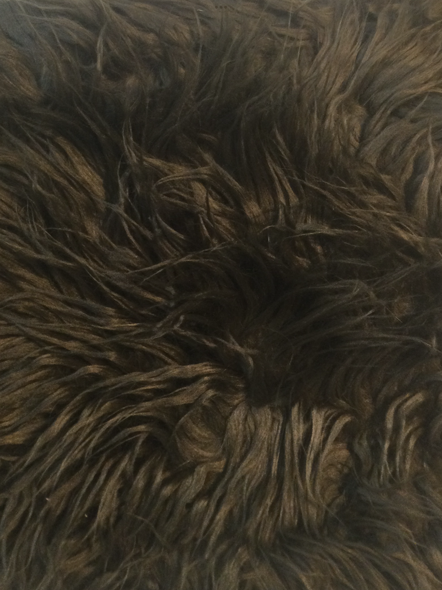 Shaggy Faux Fur in Chocolate