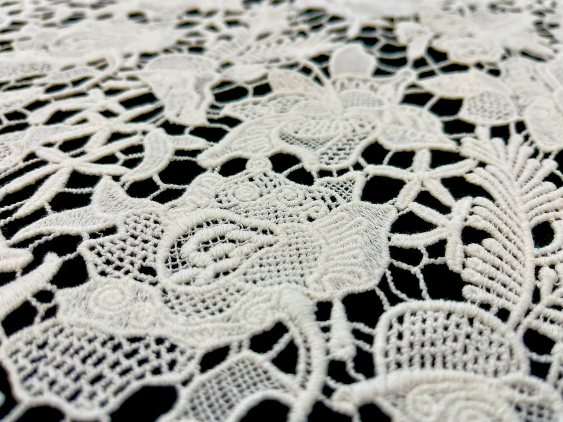 Cotton Guipure Lace in Diamond White