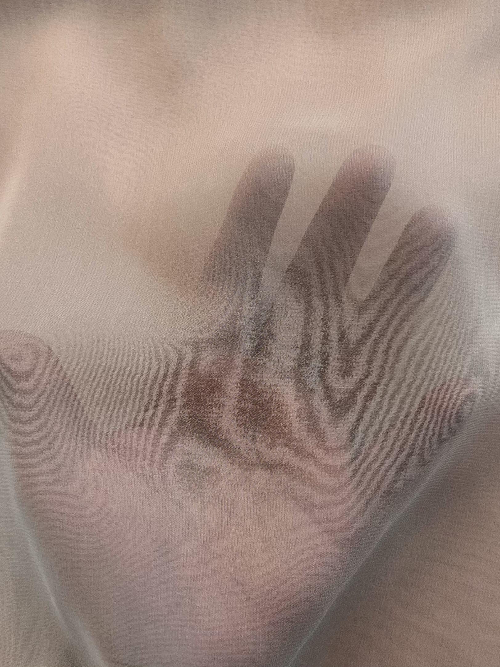 Wide Width Silk Chiffon in Lingerie (8 momme)