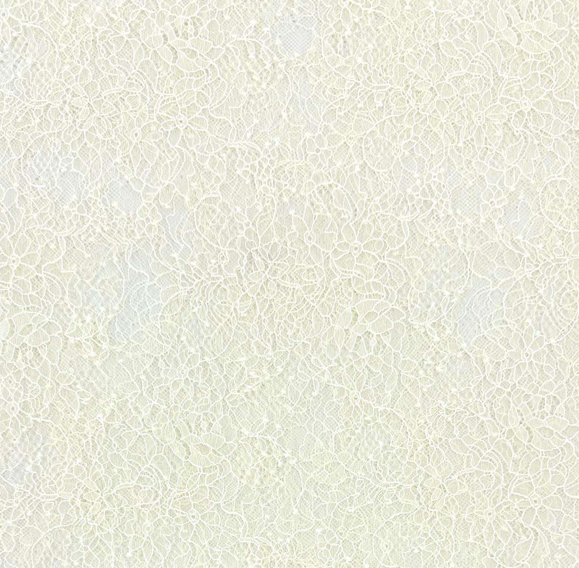 Chantilly Lace in Ivory 