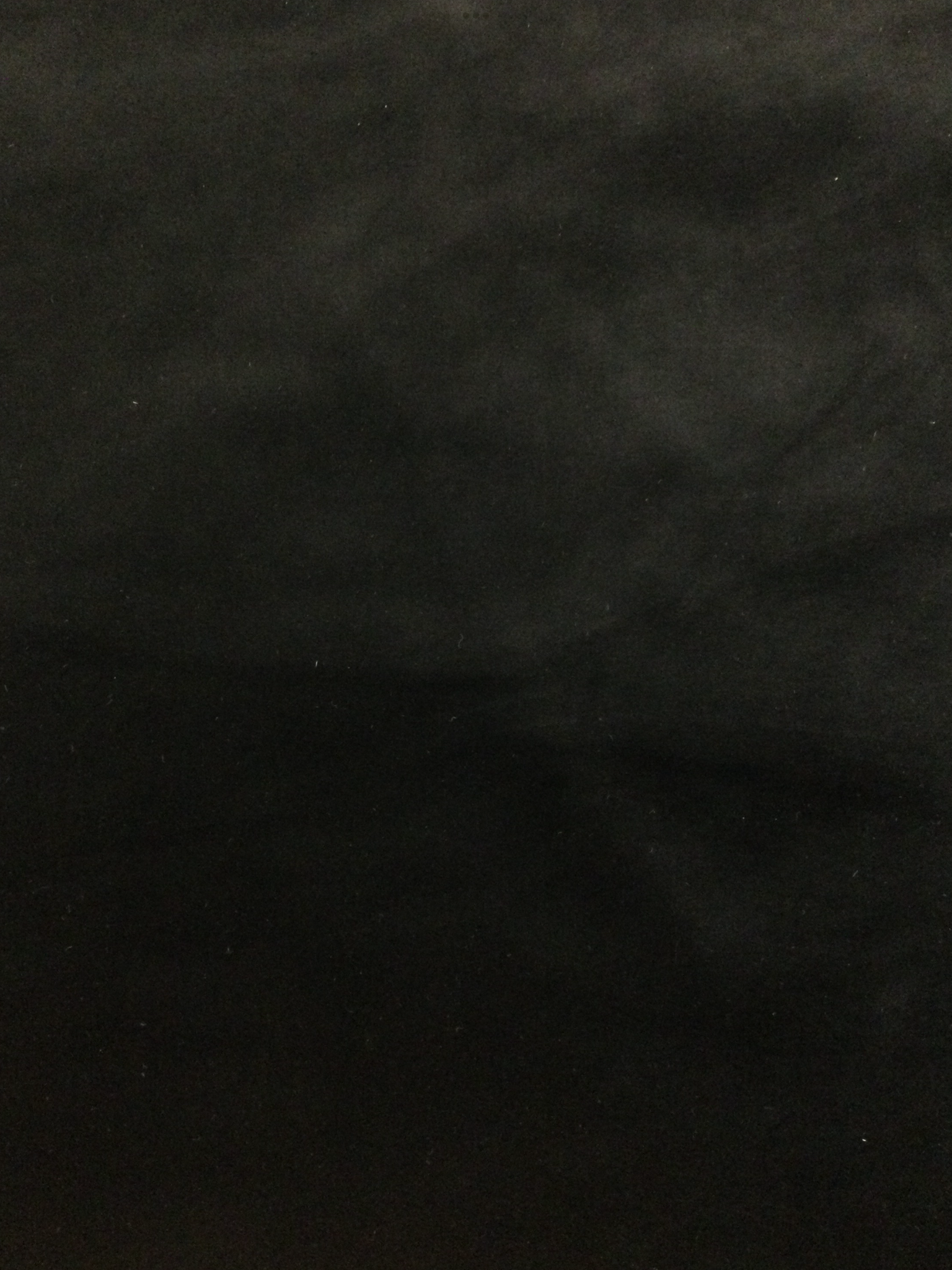 Cotton Lycra Velvet in Noir