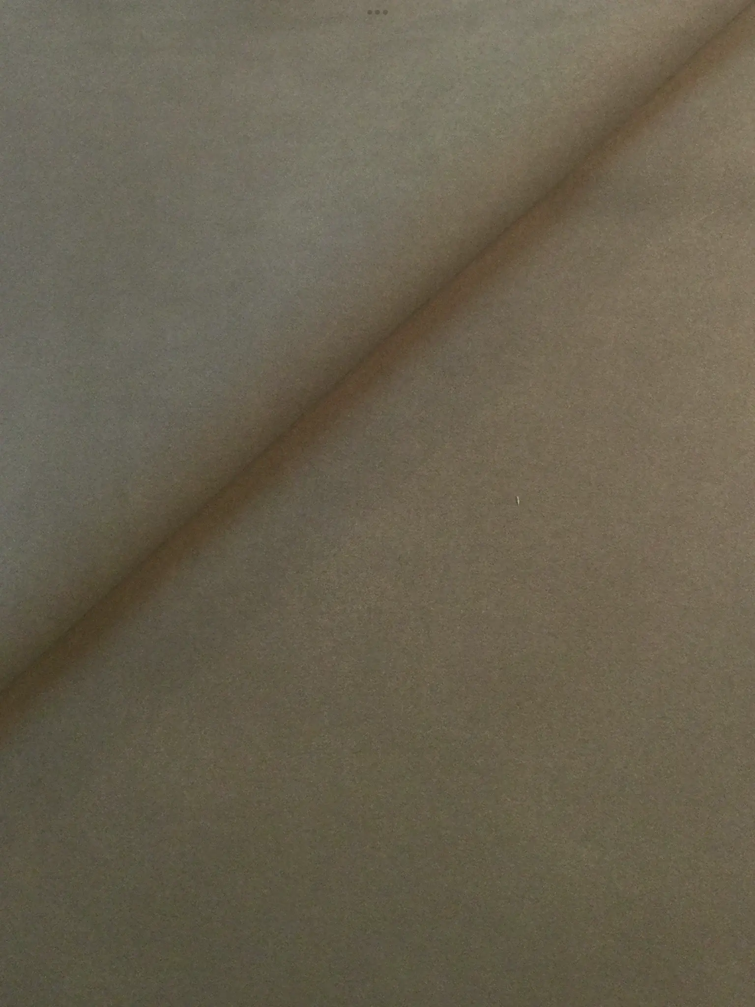 Japanese Ultrasuede SP in Cypress