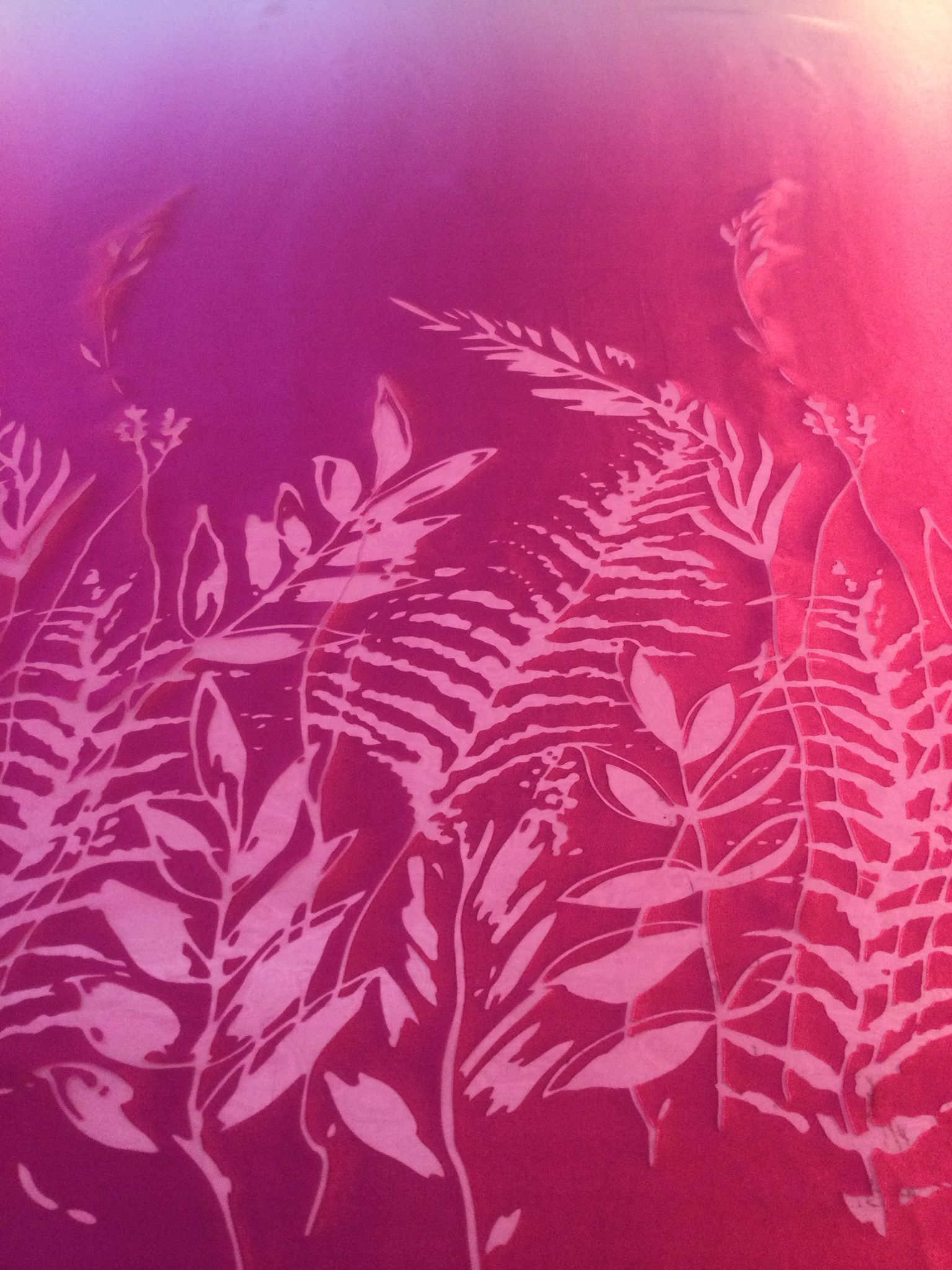 Ombre' Silk Blend Charmeuse Burn-Out Boarder Design in Pinks