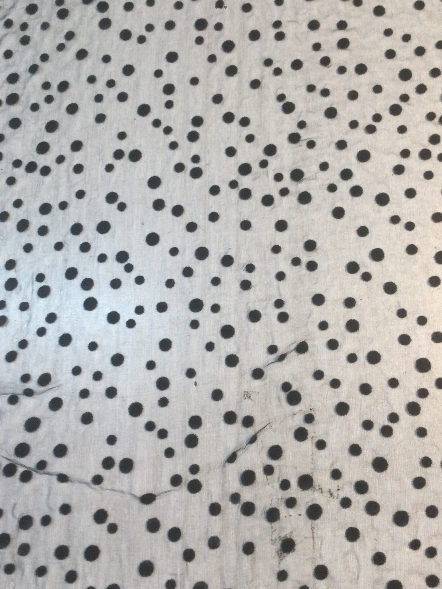 Flocked Dots on Silk Chiffon in Black