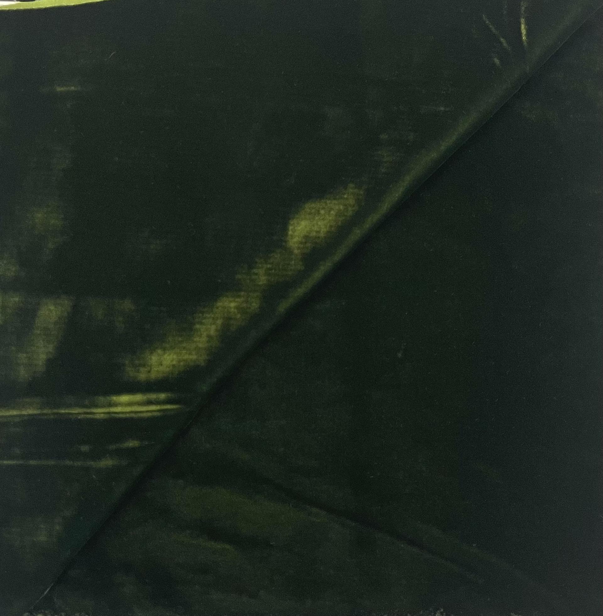 Rayon Velvet in Olive Green 