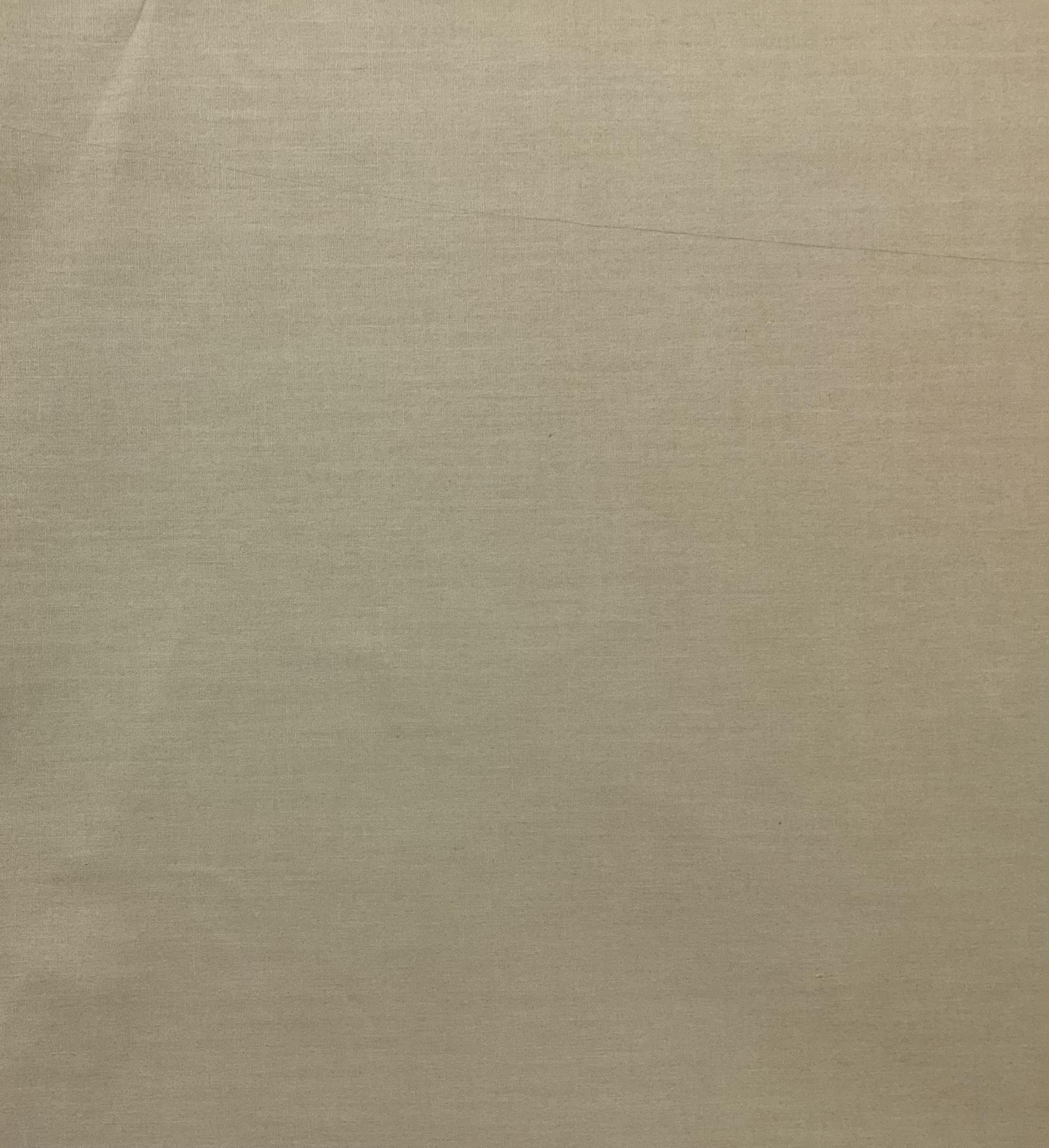 100% Cotton Taffeta In Desert