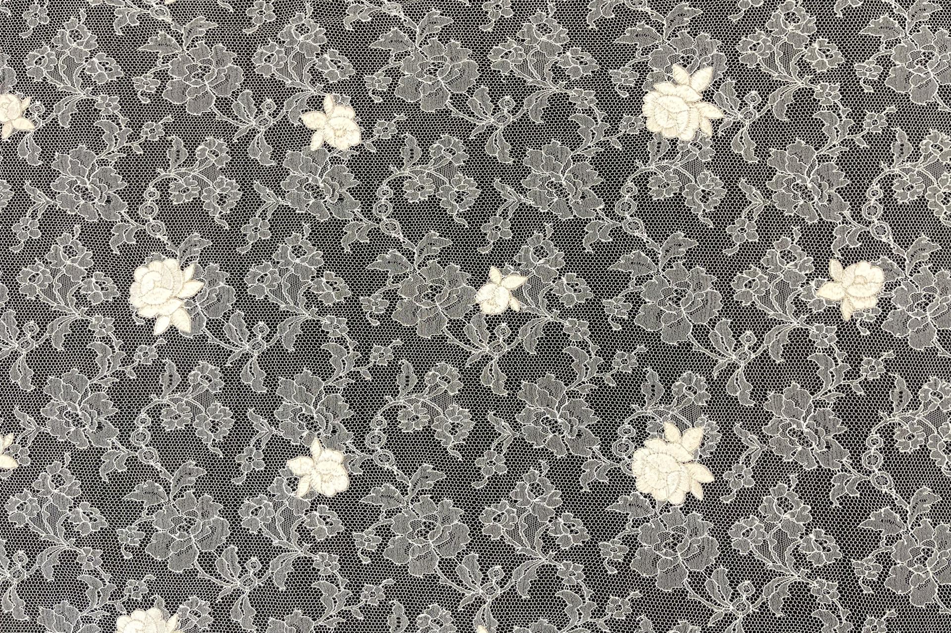 Made in France Embroidered Chantilly Lace in Diamond White Fabric in Warehouse