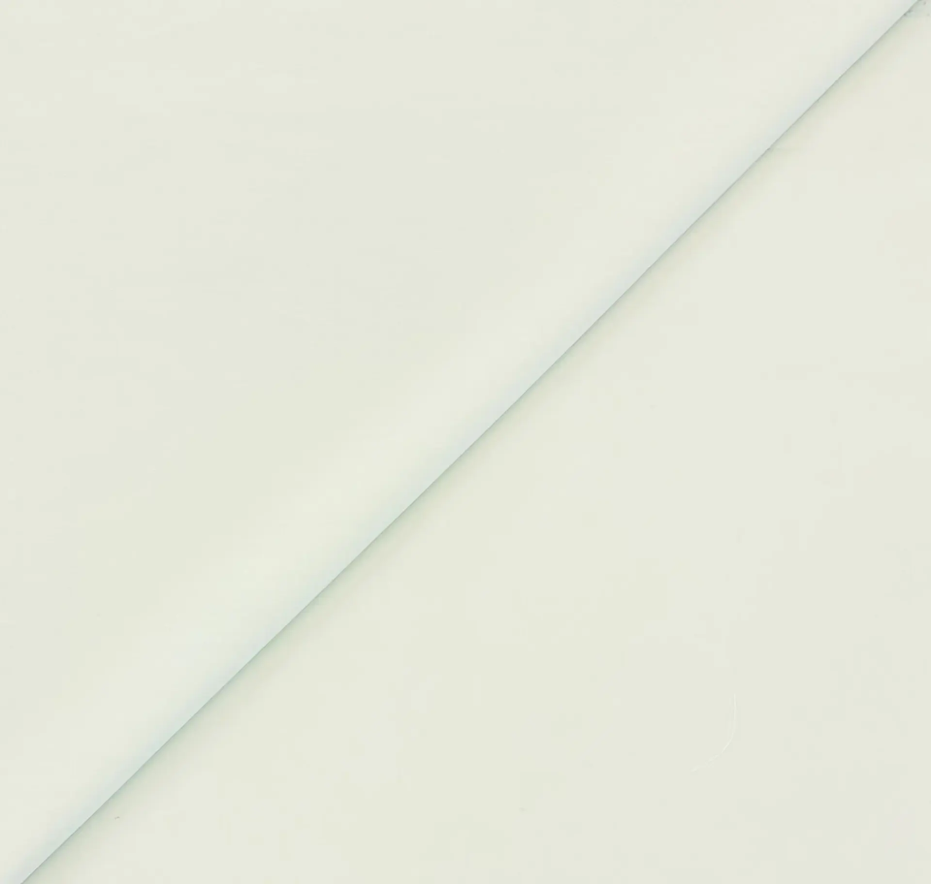 Cotton Broadcloth in Mint