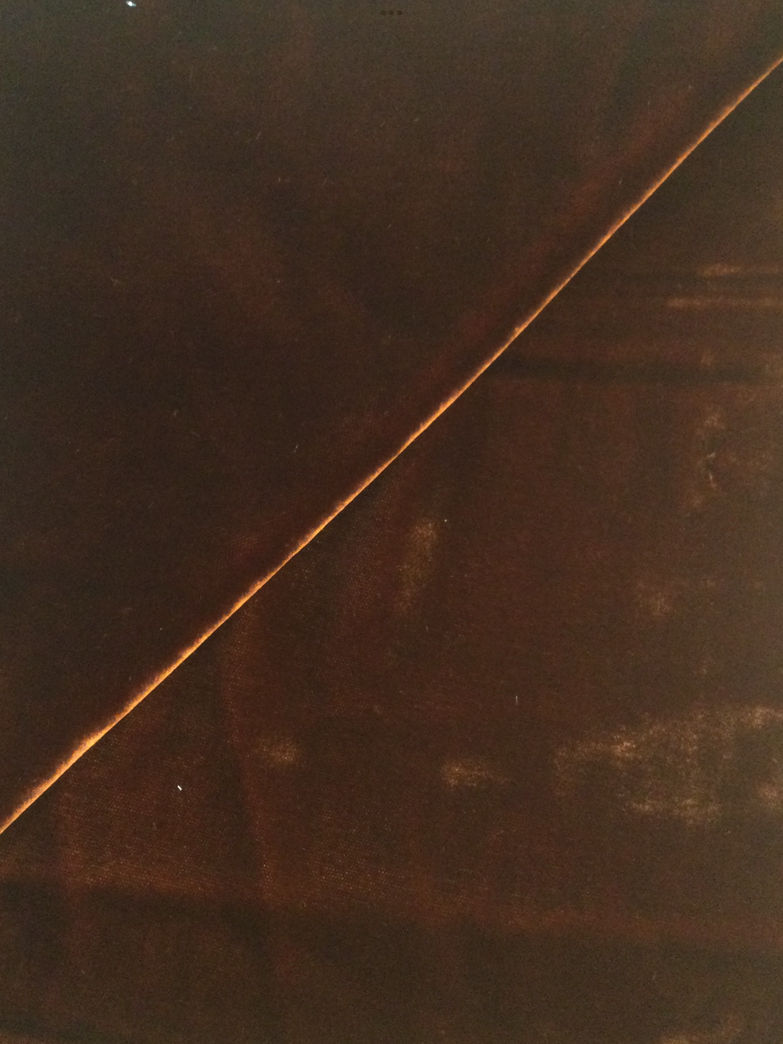 Rayon Velvet in Cayenne