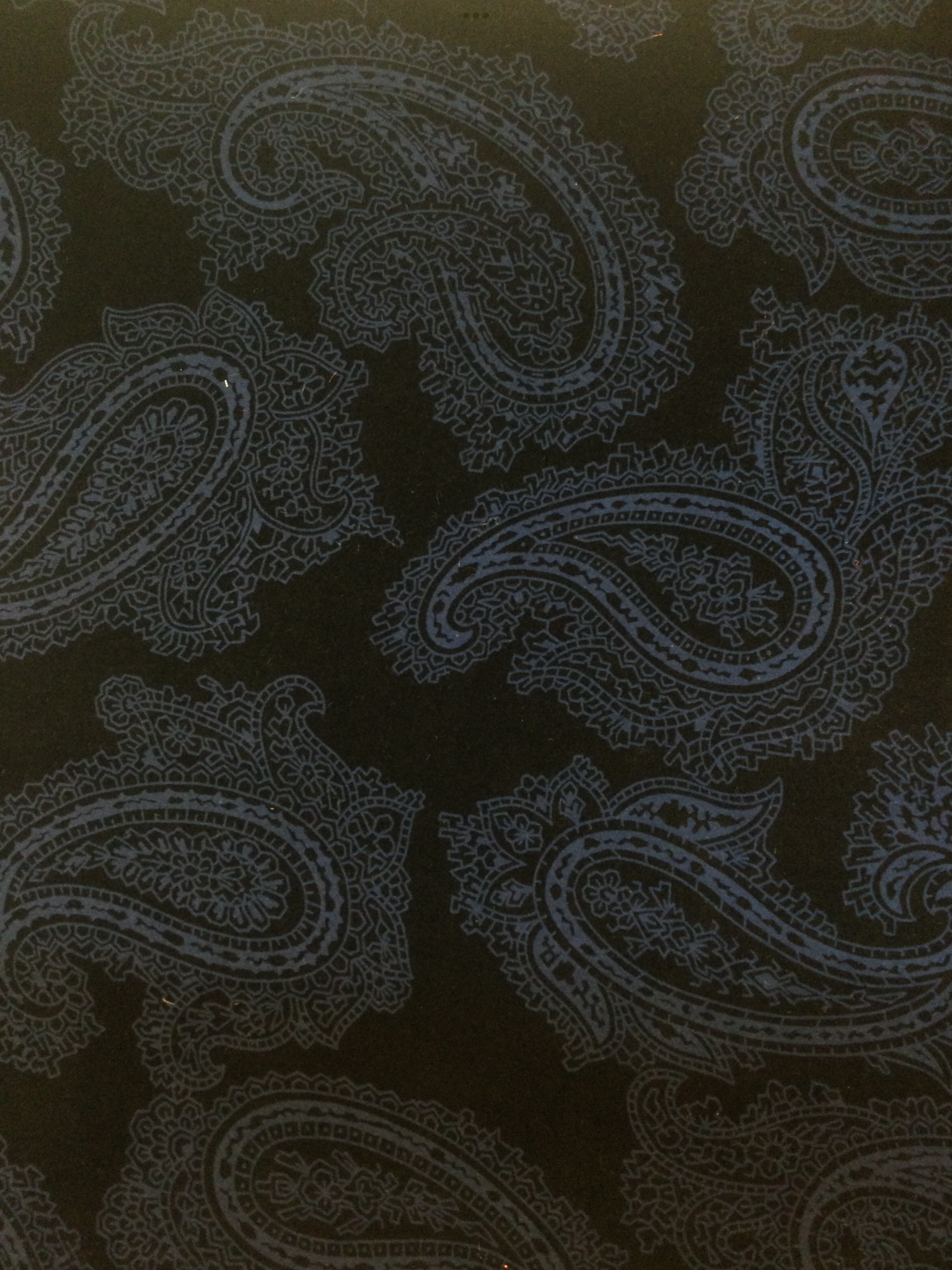 Printed Cotton Velvet w/ Blue Paisley