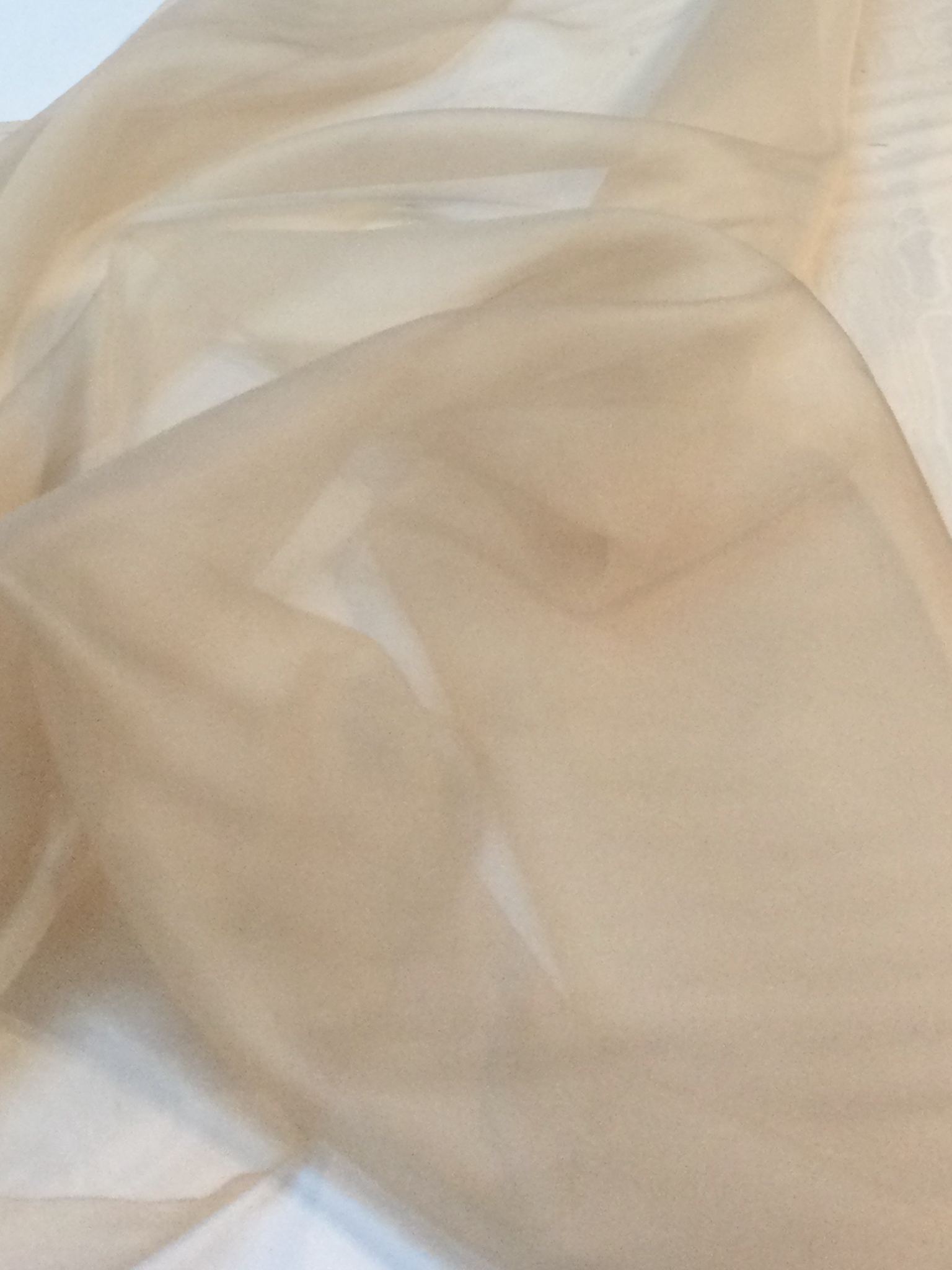 Silk Organza (6 momme)