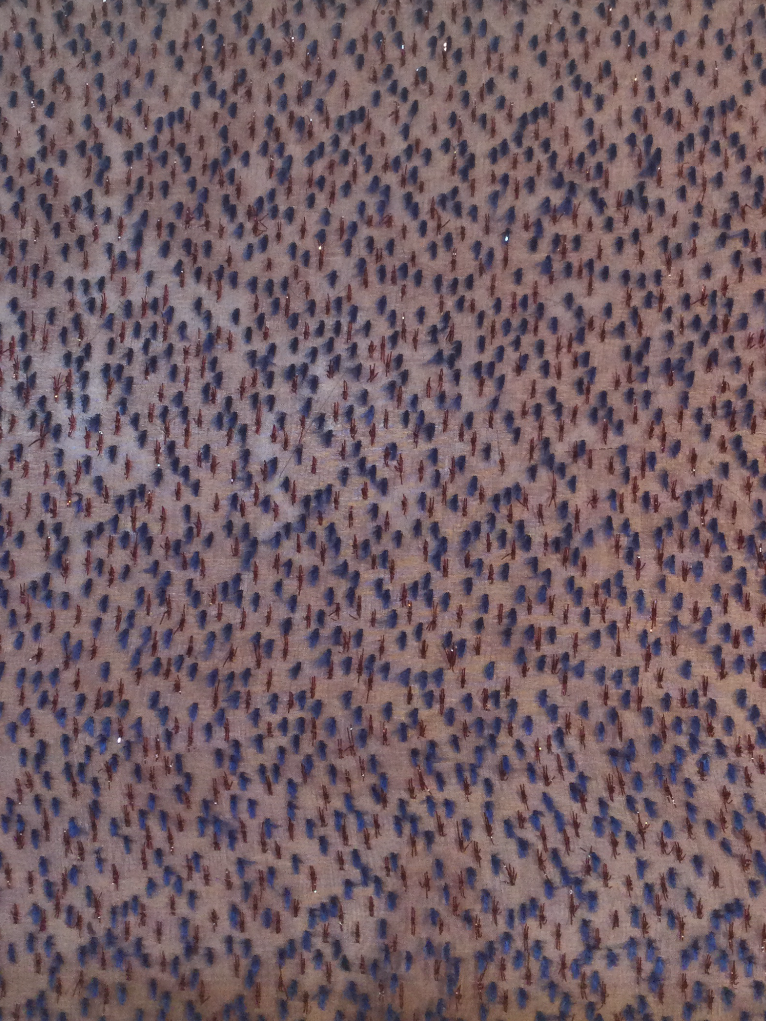 Silk and Lurex Burnout Velvet in Burgundy with Blue