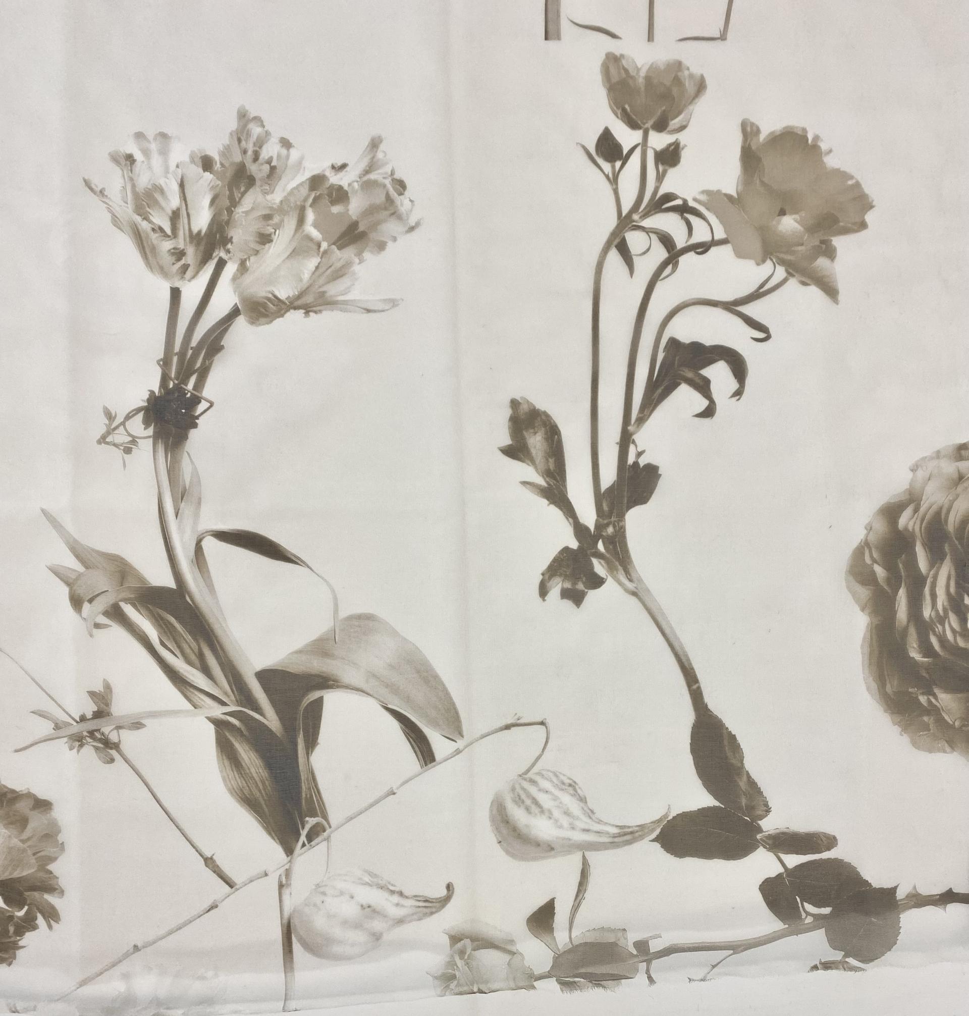 Made in Italy Pure Silk Organza Floral 