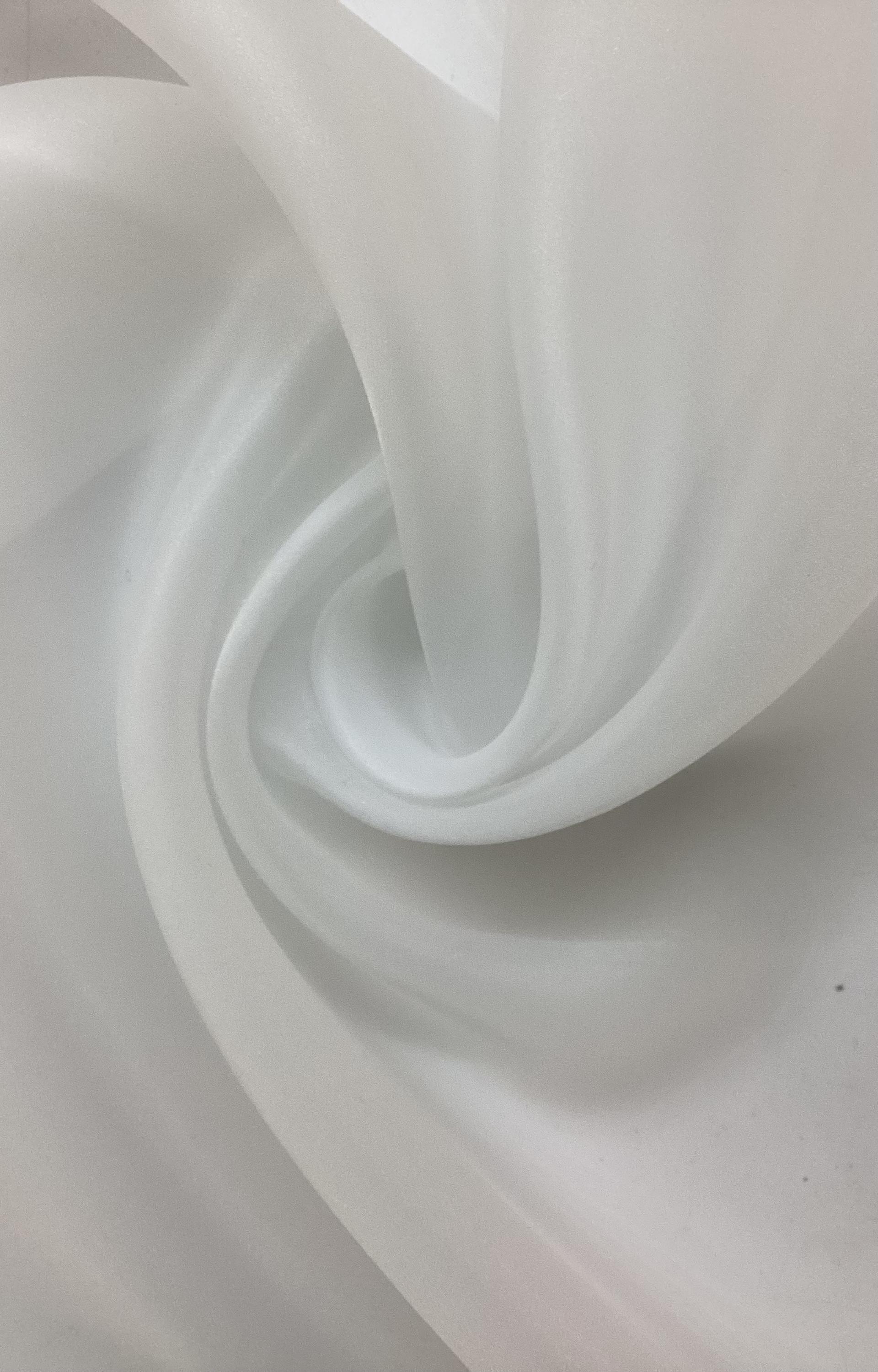 Polyester Satin Face Organza in Diamond White