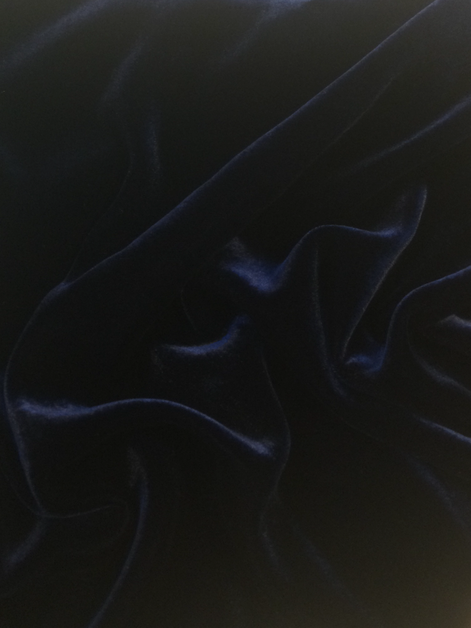 Silk Rayon Velvet in Navy