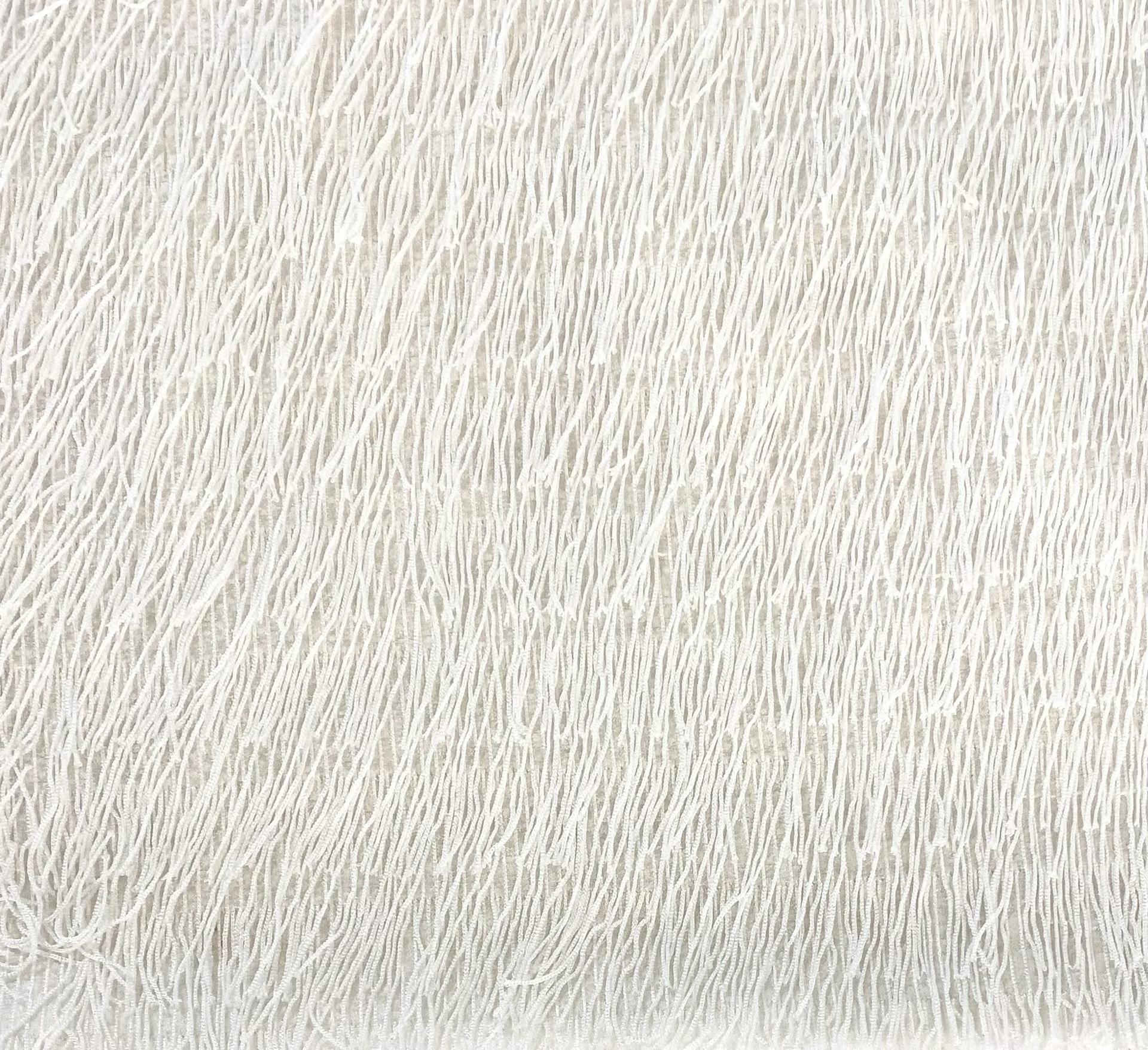 Viscose Organza with Woven Fringe in Off White