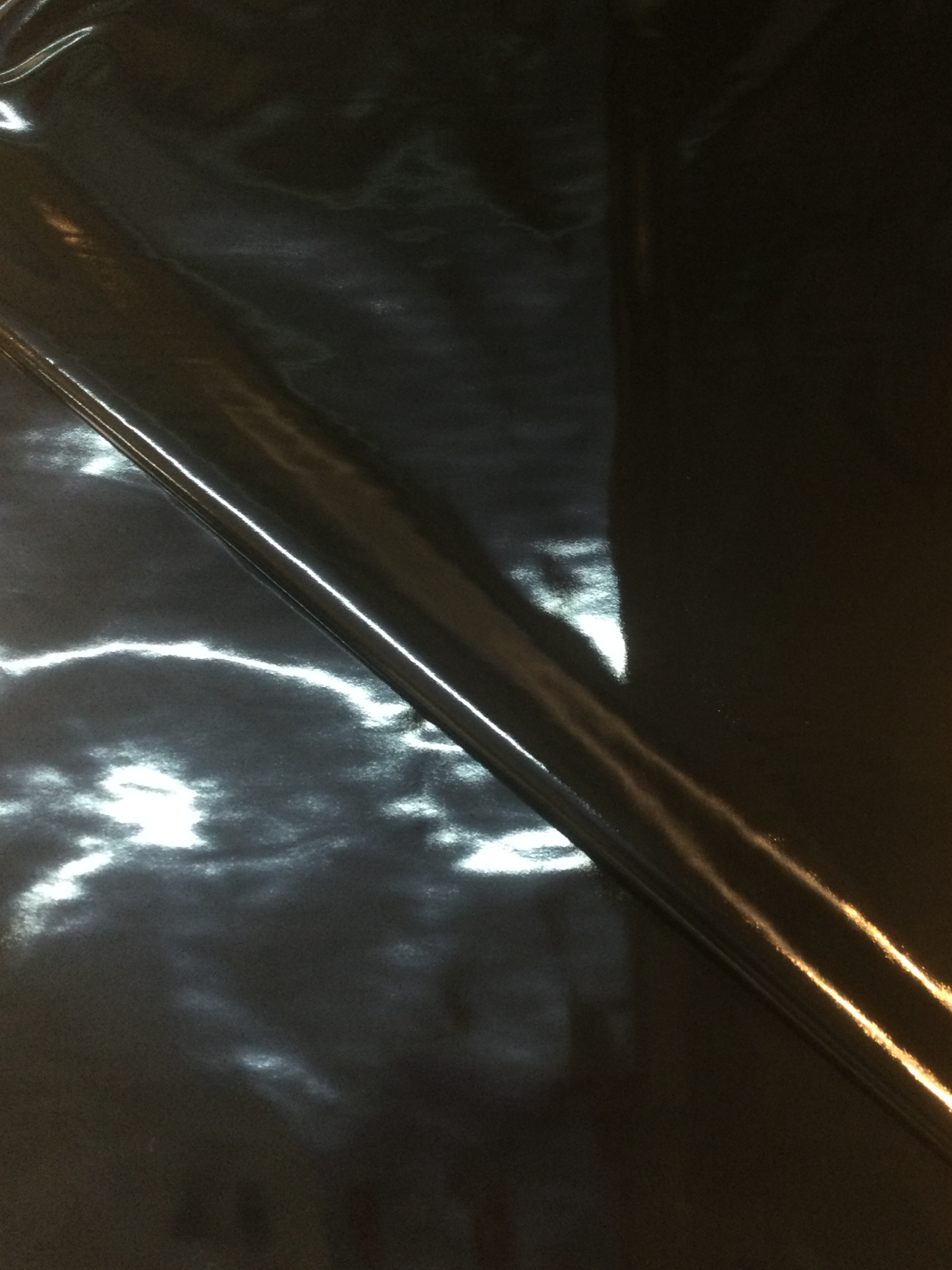 Wet Look Vinyl In Black