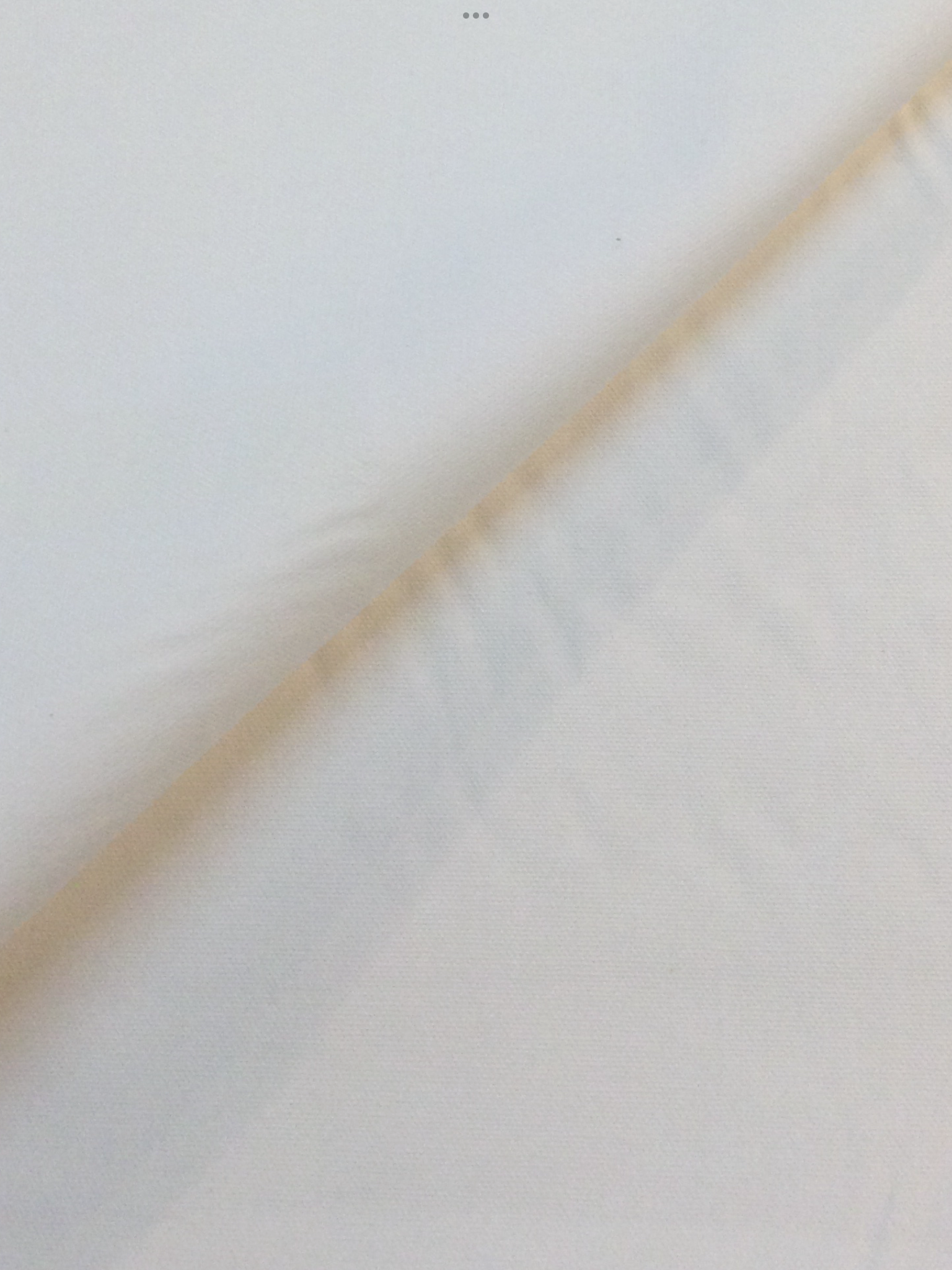 10.5 oz Cotton Canvas in Bianco