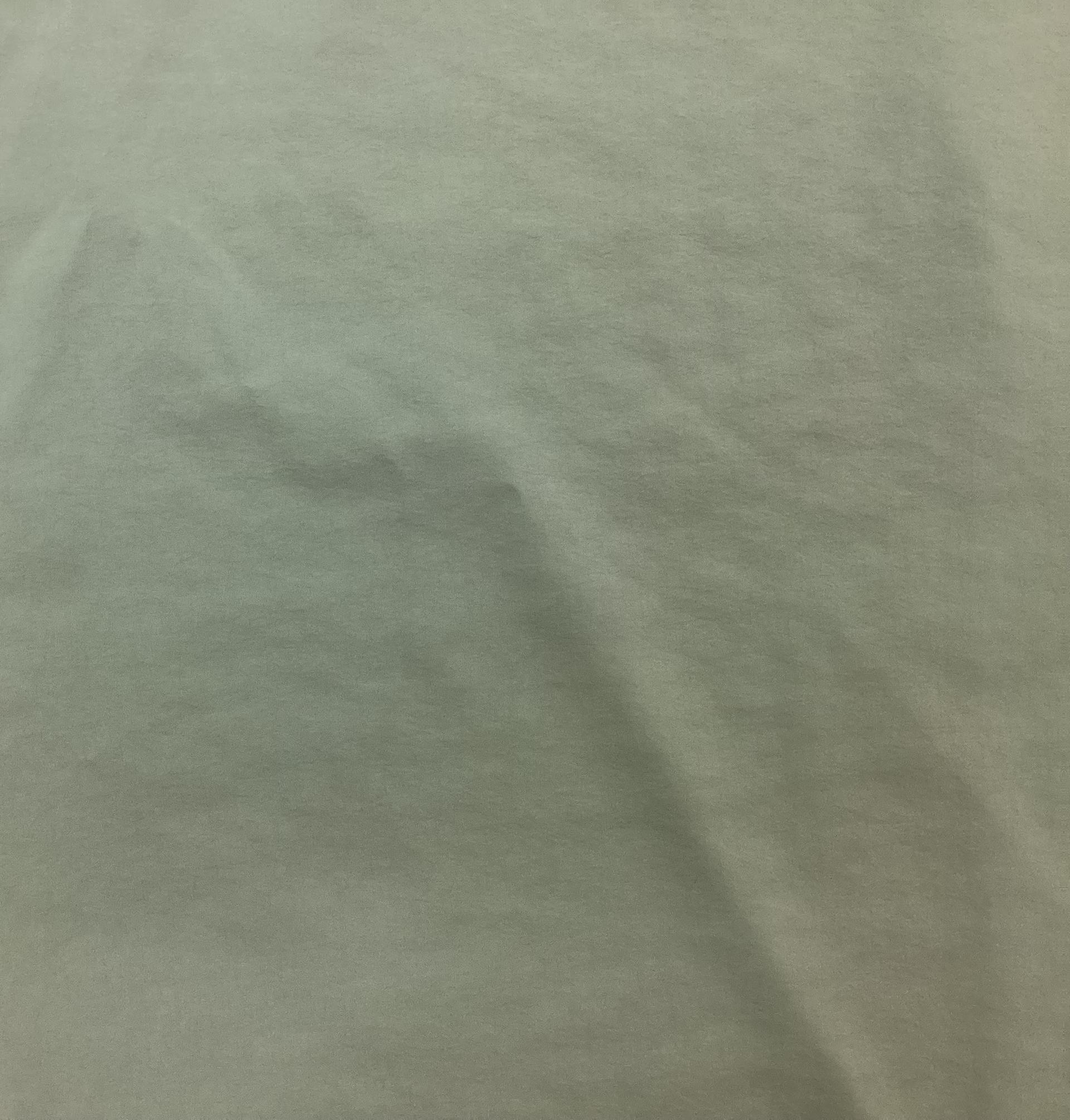 100% Nylon Rainwear In Sage