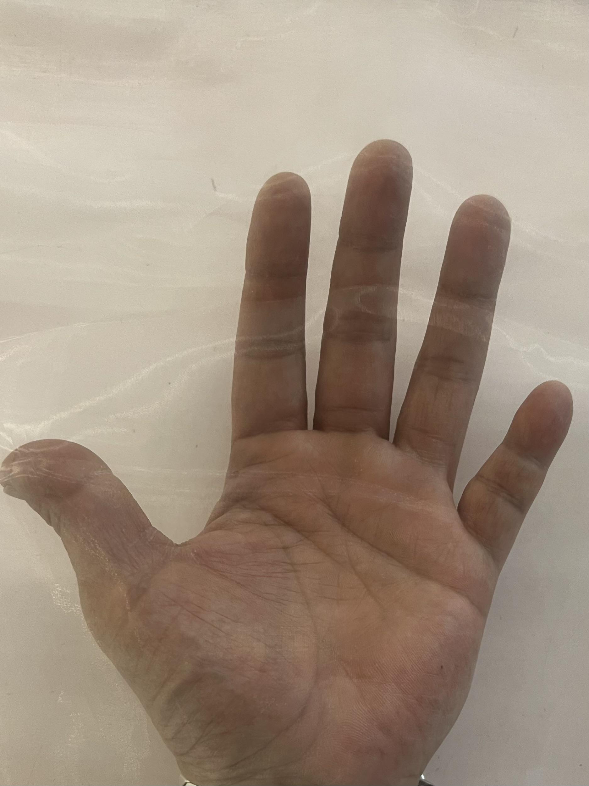 Polyester Organza Onion Skin in Pink Diamond