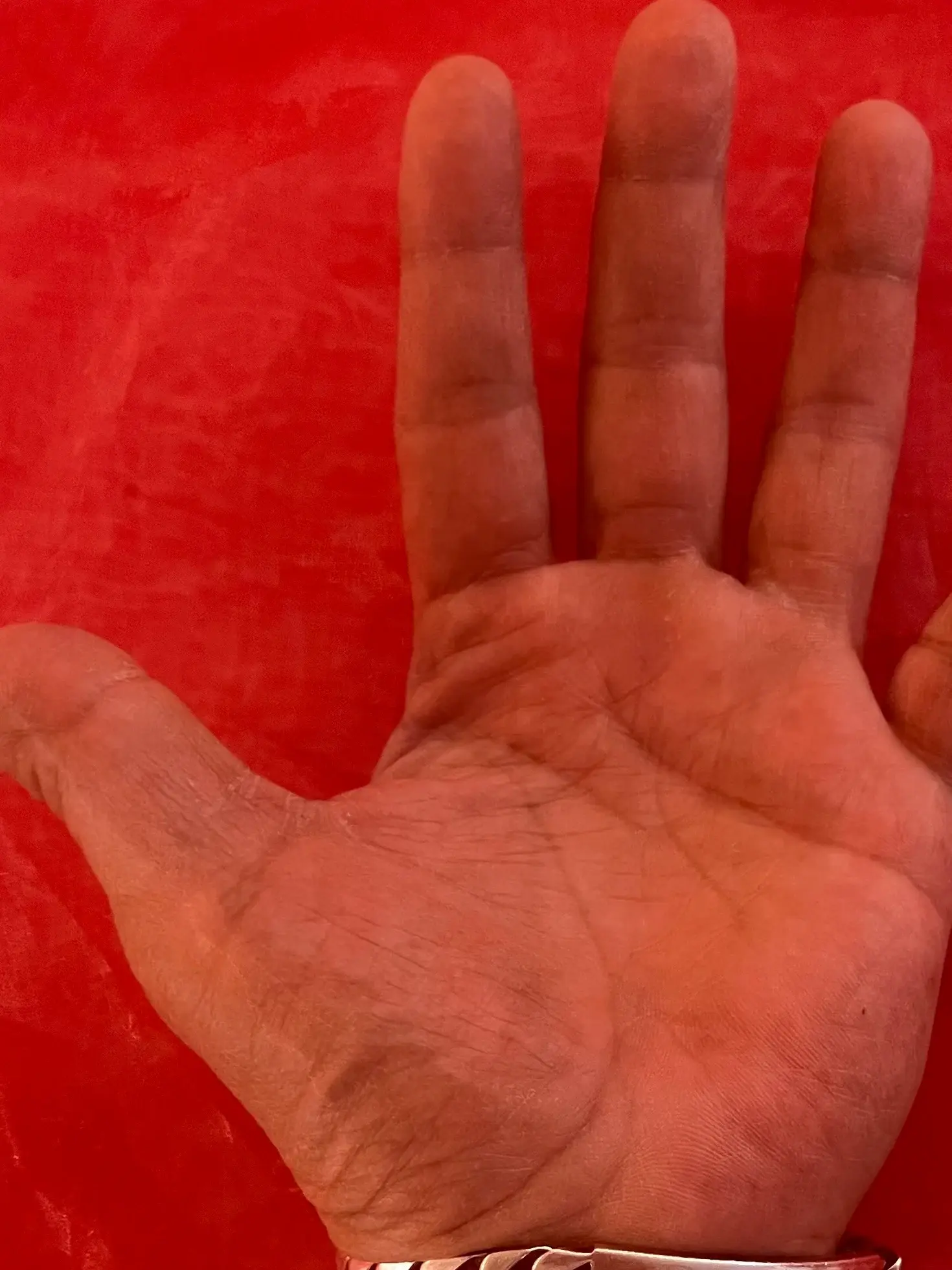 Polyester Organza Onion Skin in Garnet