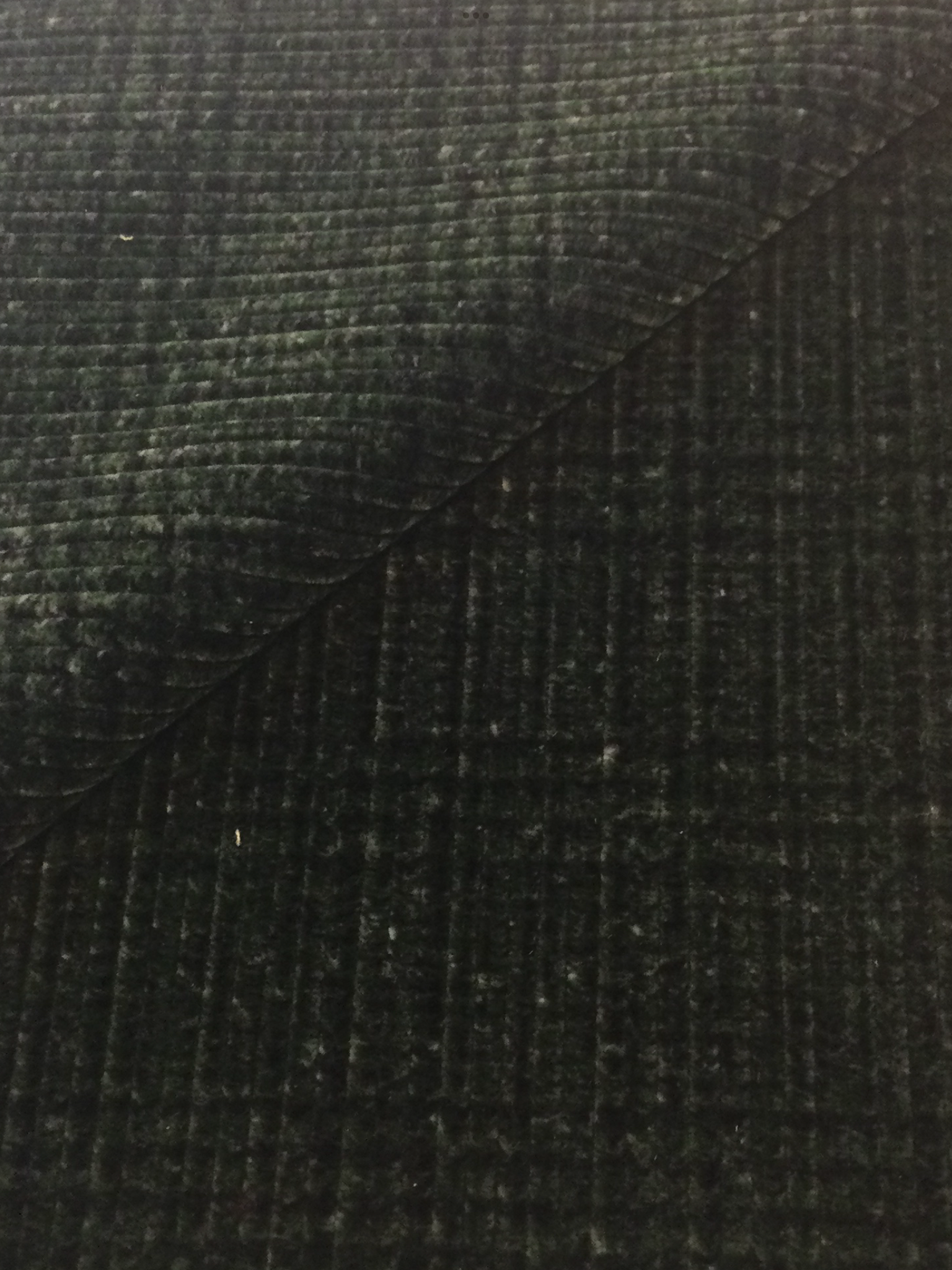 Made in Italy Wide Wale Printed Corduroy 