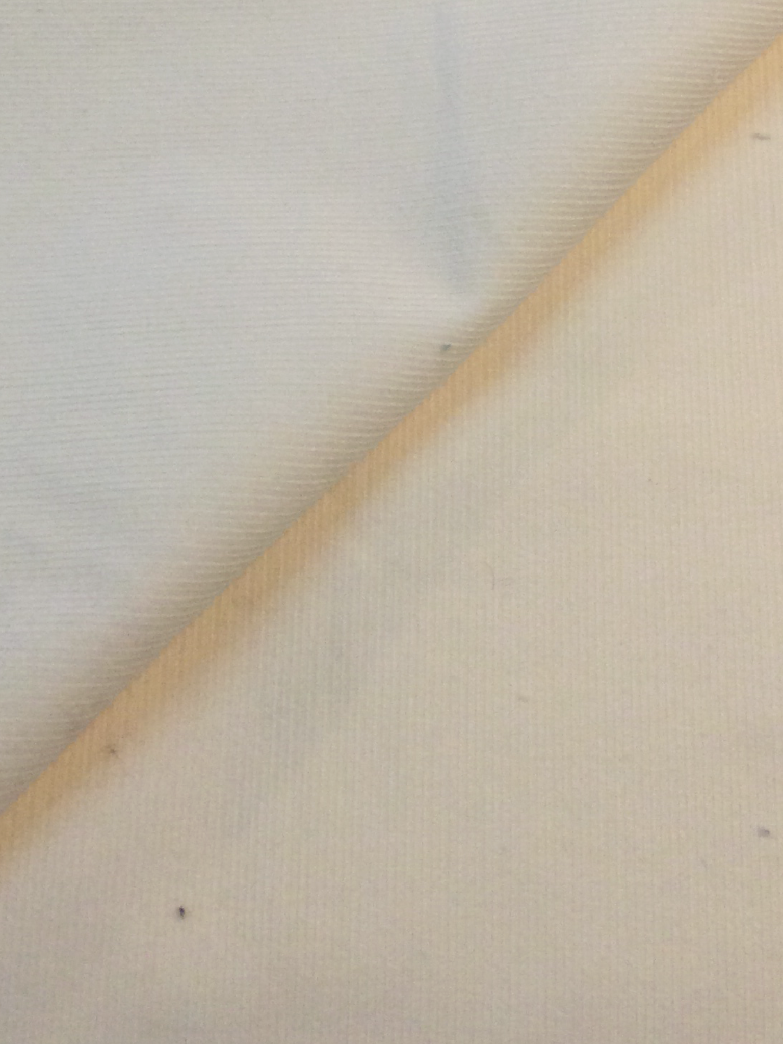 Made in Italy Cotton Corduroy 