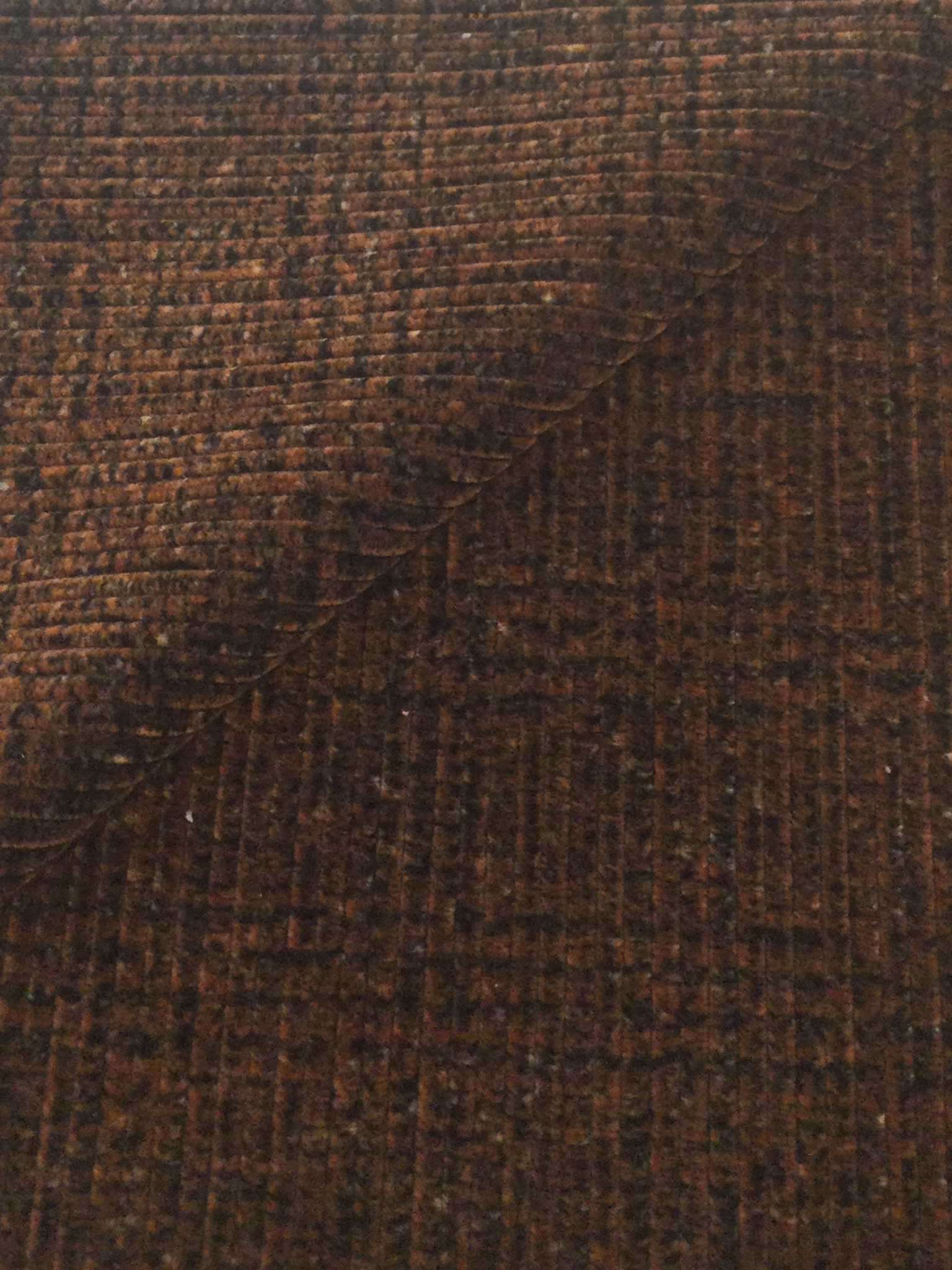 Made in Italy Wide Wale Printed Corduroy In Rust