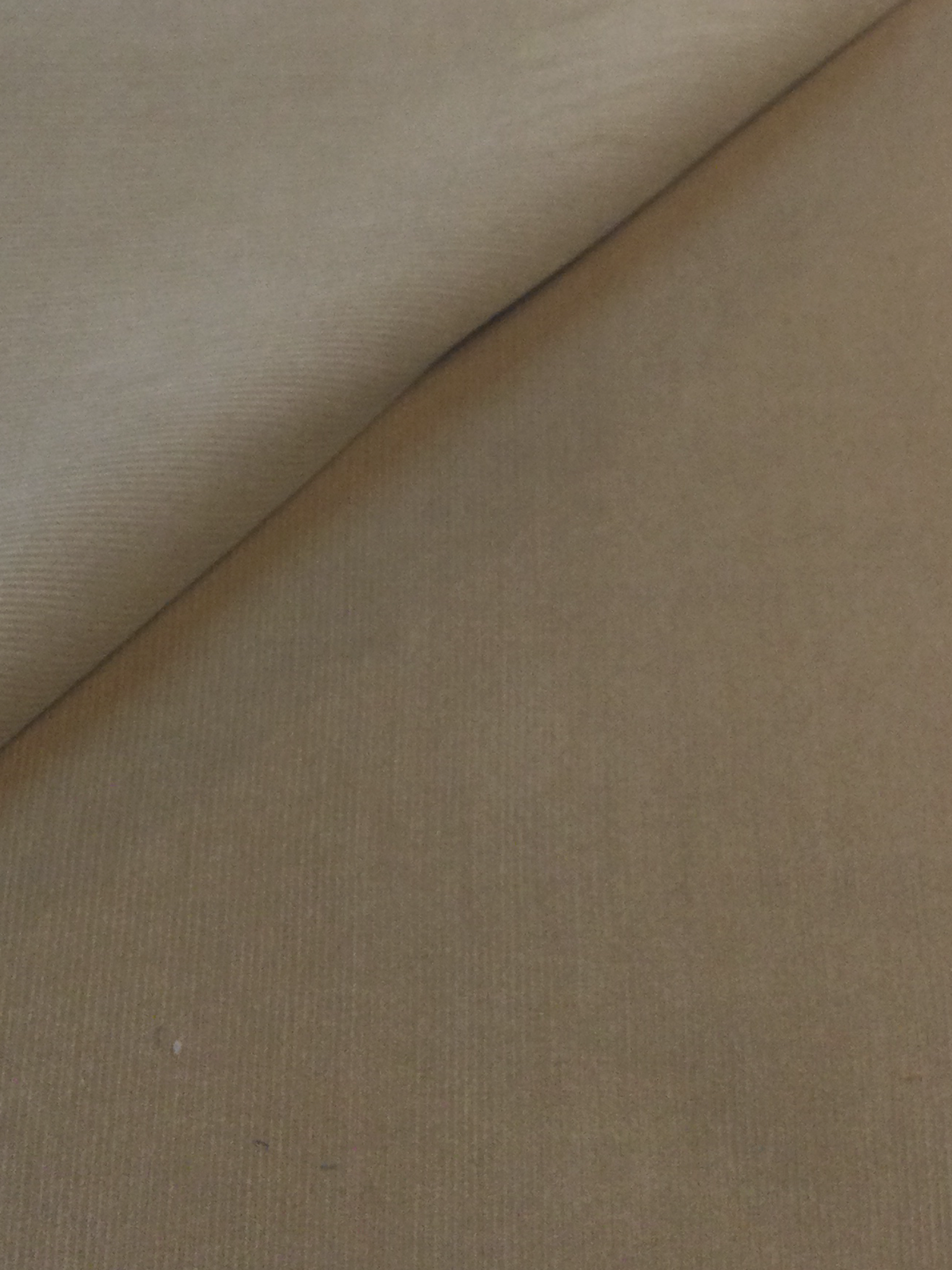 Made in Italy Cotton Corduroy 