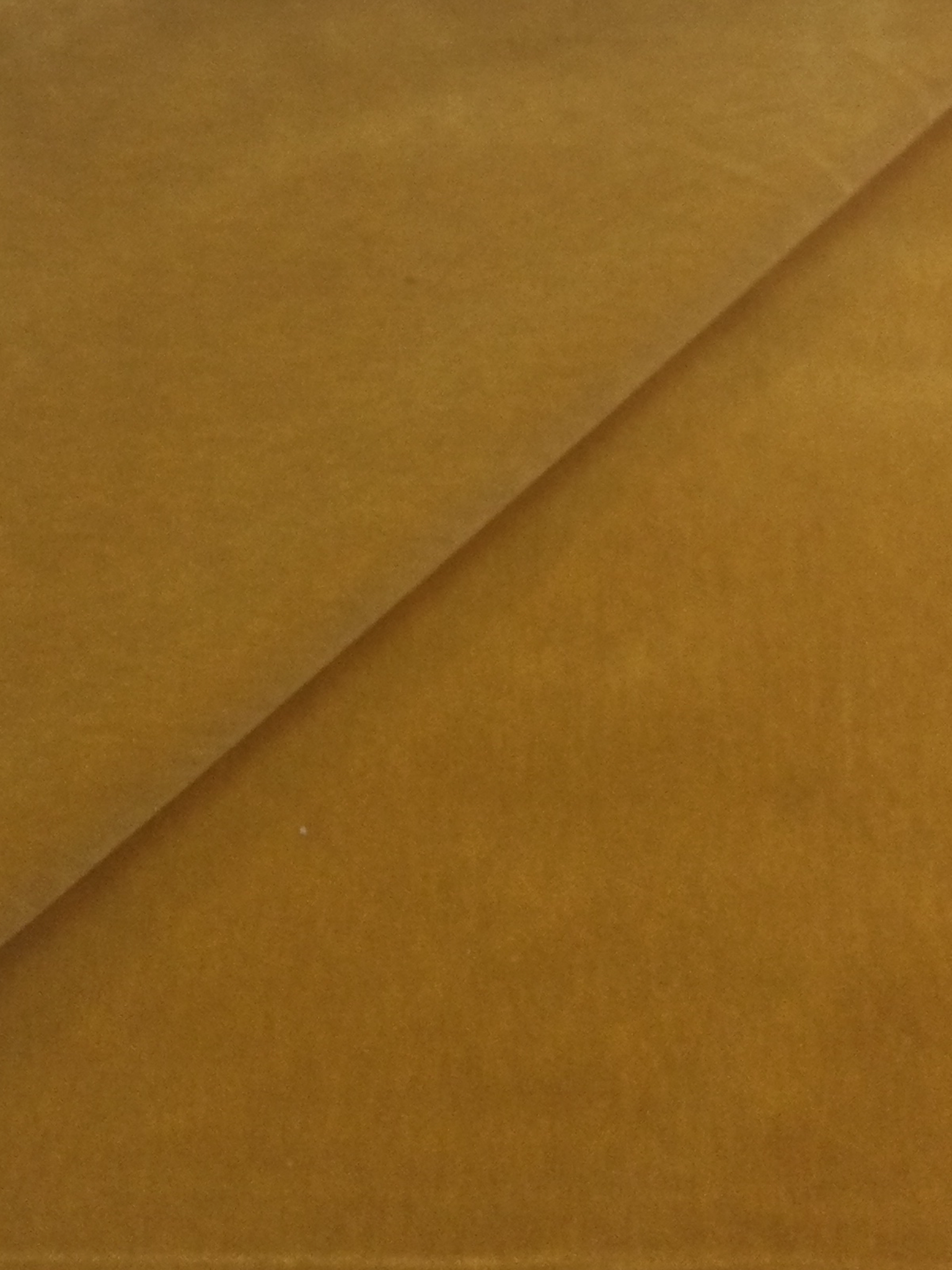 Made in Italy Cotton Velvet in Mustard 