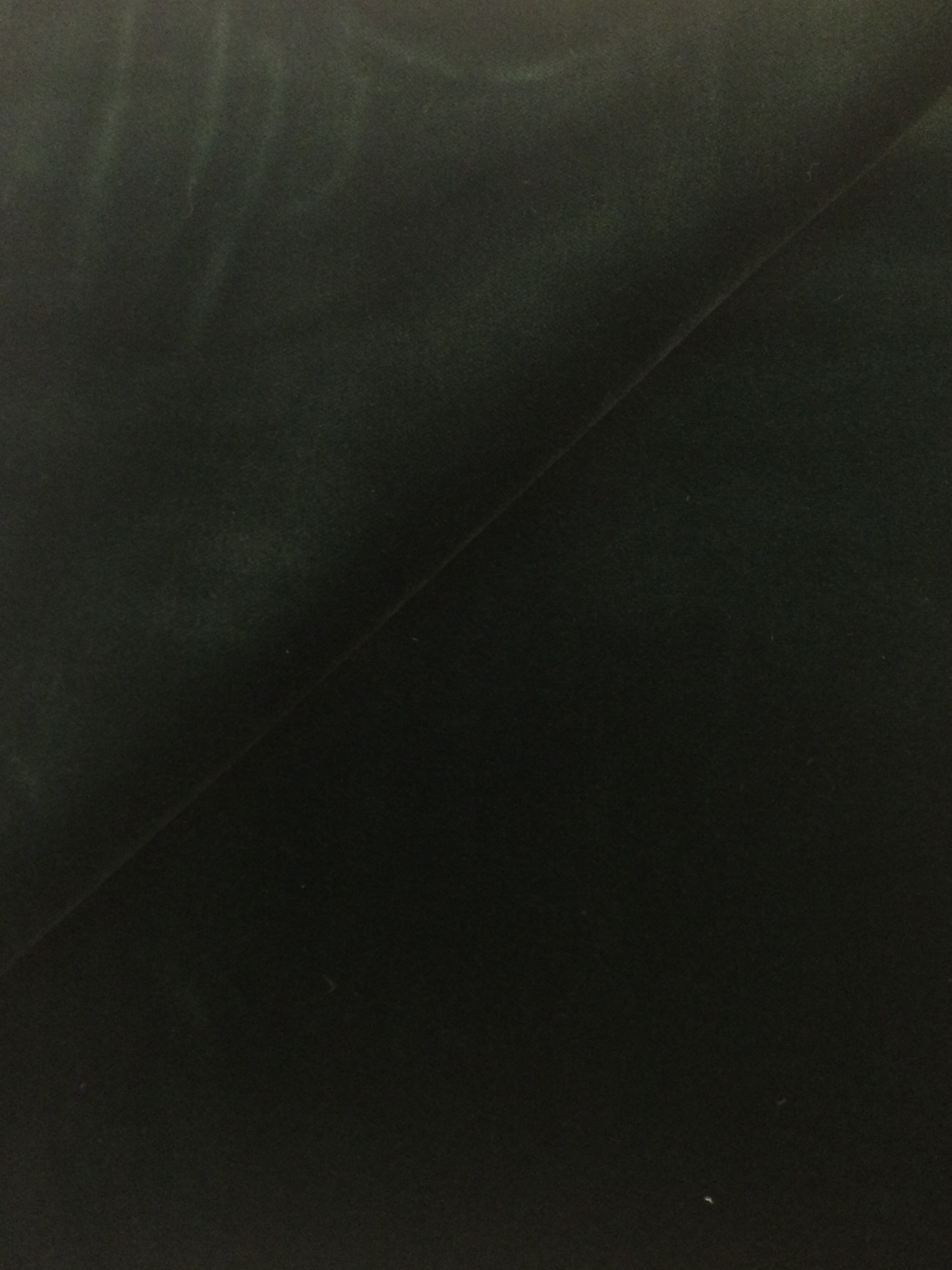 Made in Italy Cotton Velvet in Hunter