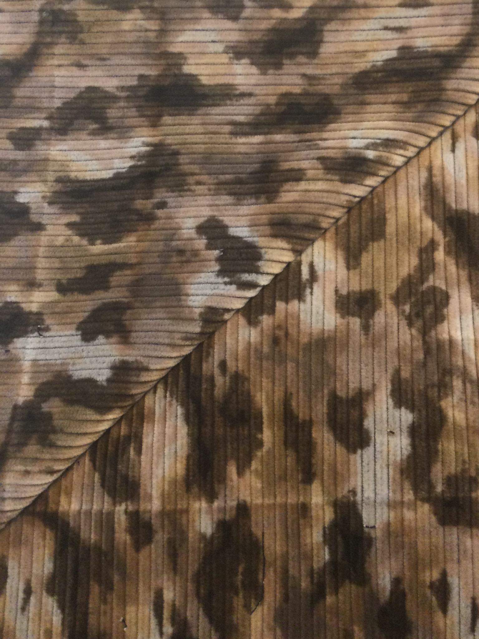 Made in Italy Wide Wale Printed Corduroy 