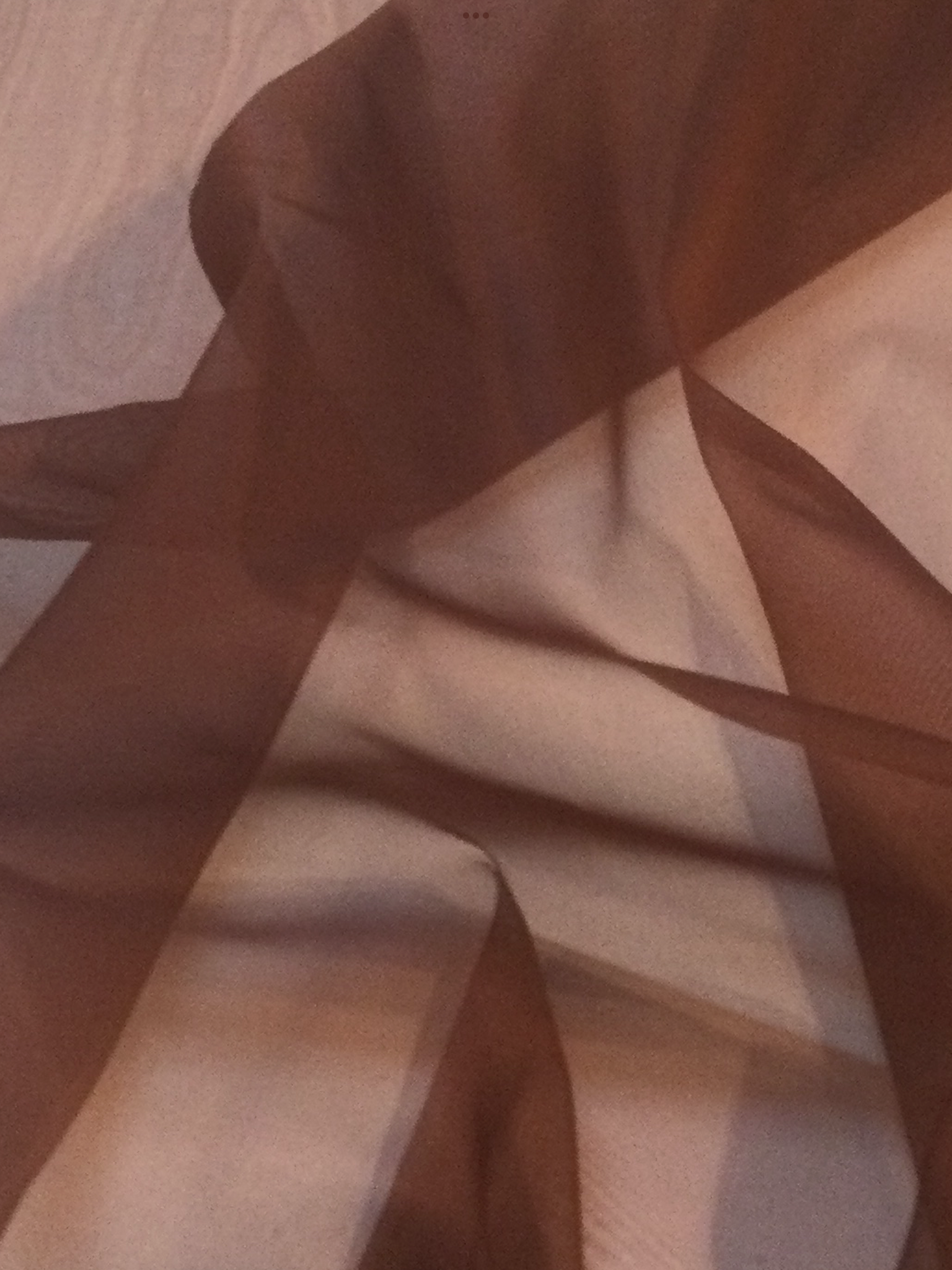 Pure Silk Organza
