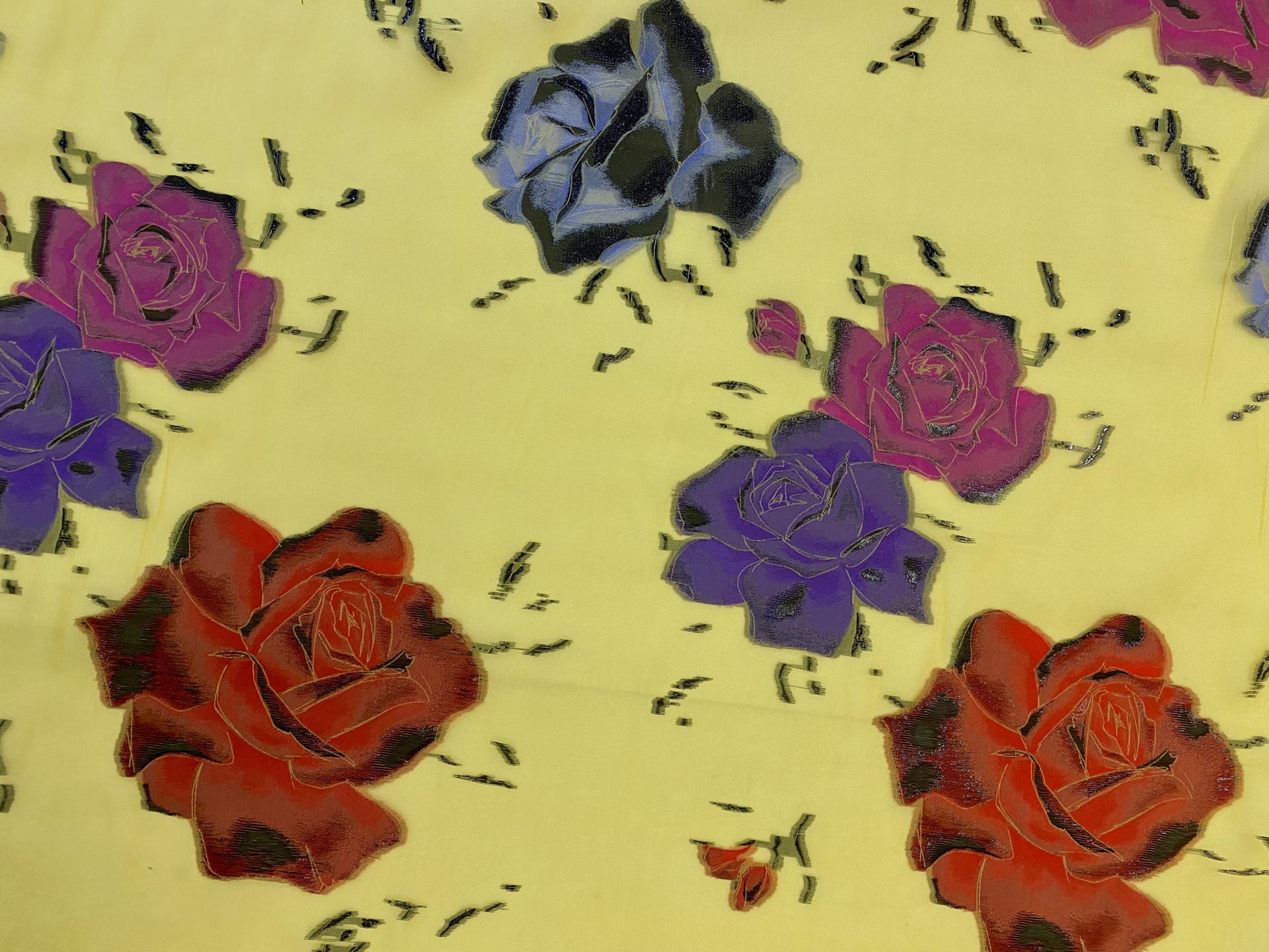 Italian Fil Coupe Silk Organza