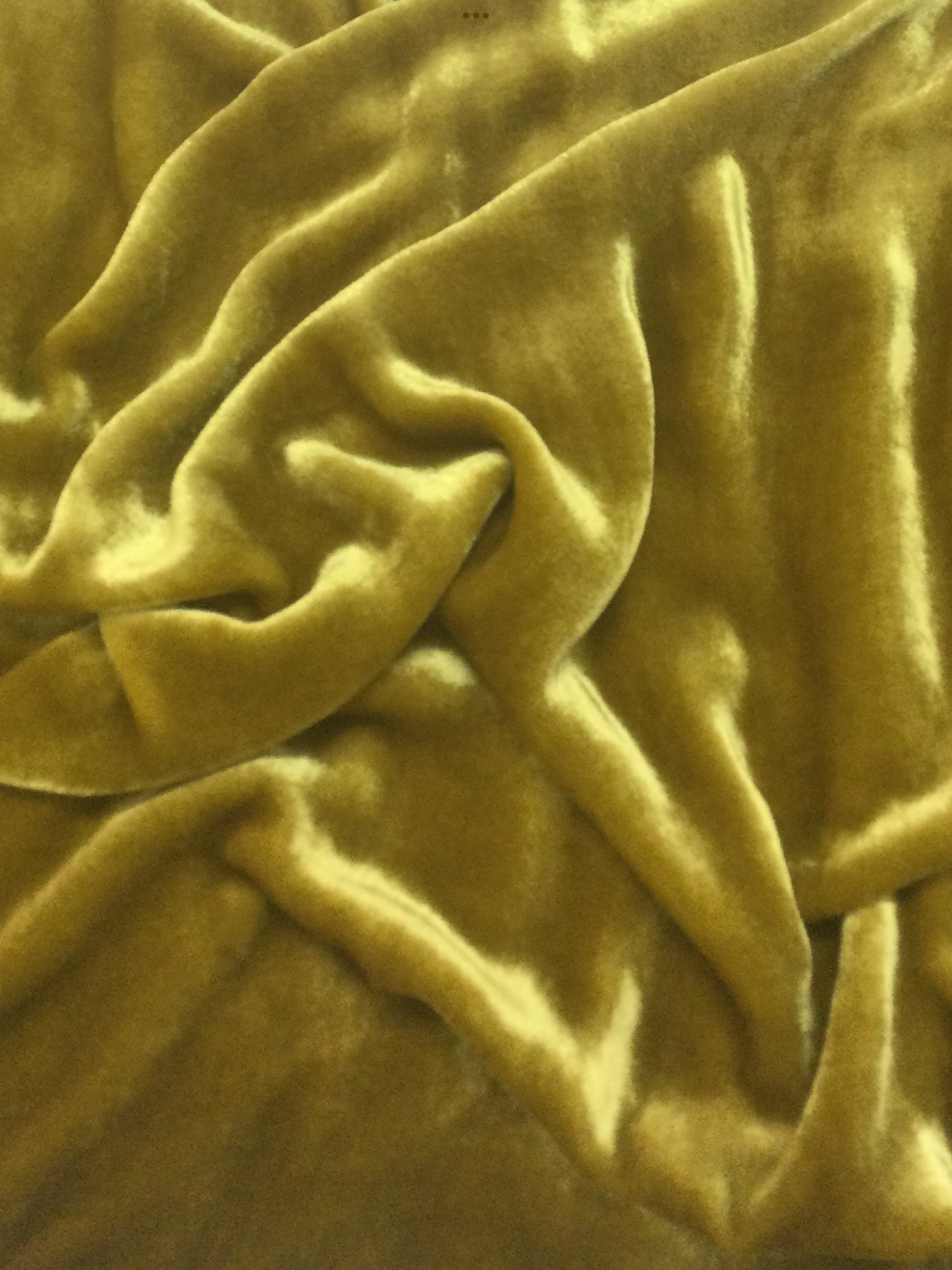 Silk and Rayon Velvet in Gold