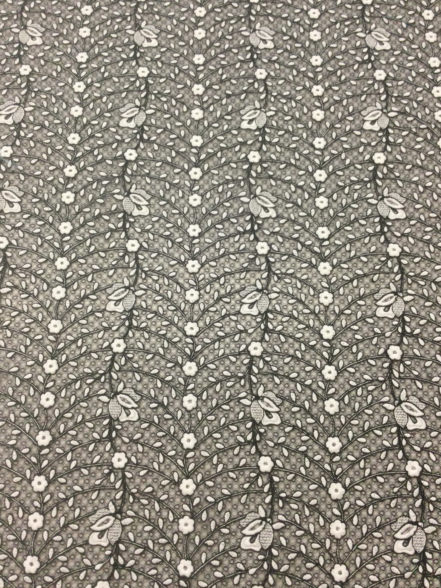 Embroidered Tulle on Nylon Mesh in Black and White