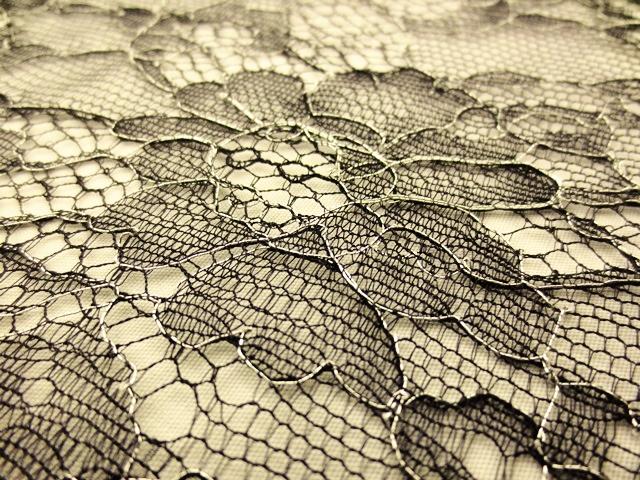Metallic Chantilly Lace2