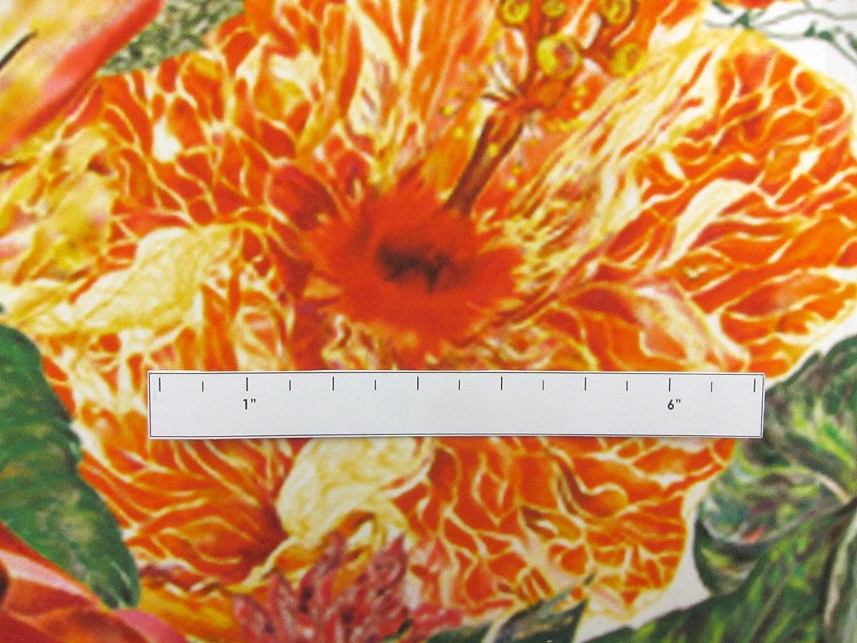 Printed Silk Charmeuse2