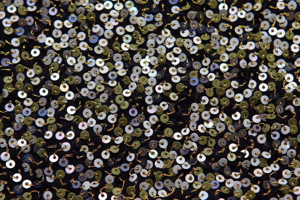 Sequins on Silk Chiffon2