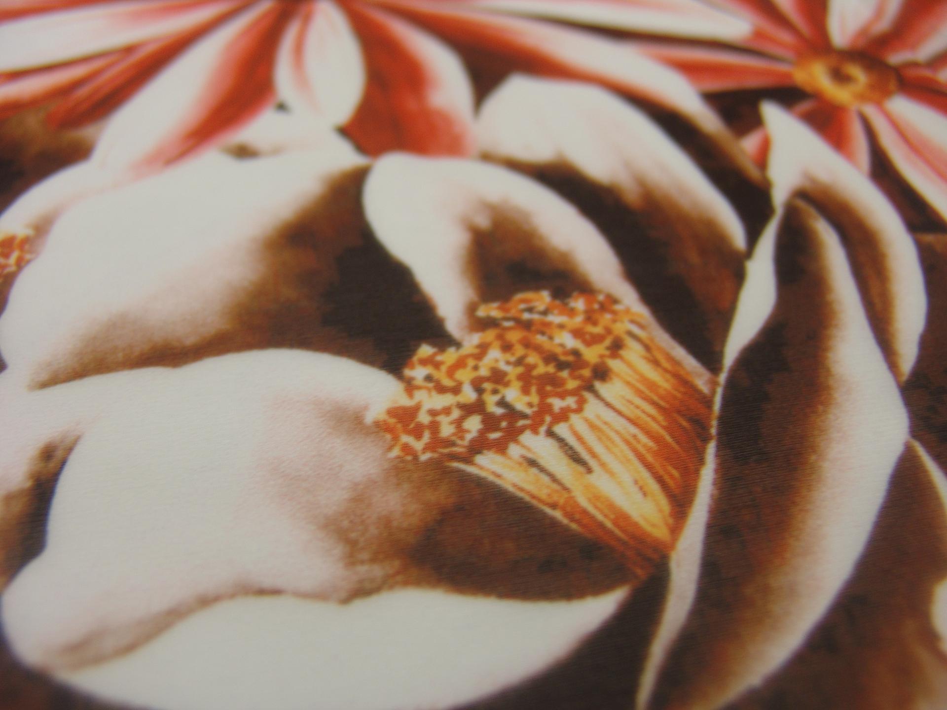 Printed Silk Chiffon1