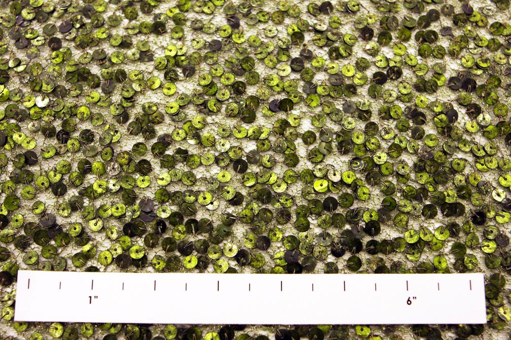 Sequins on Metallic Tulle1