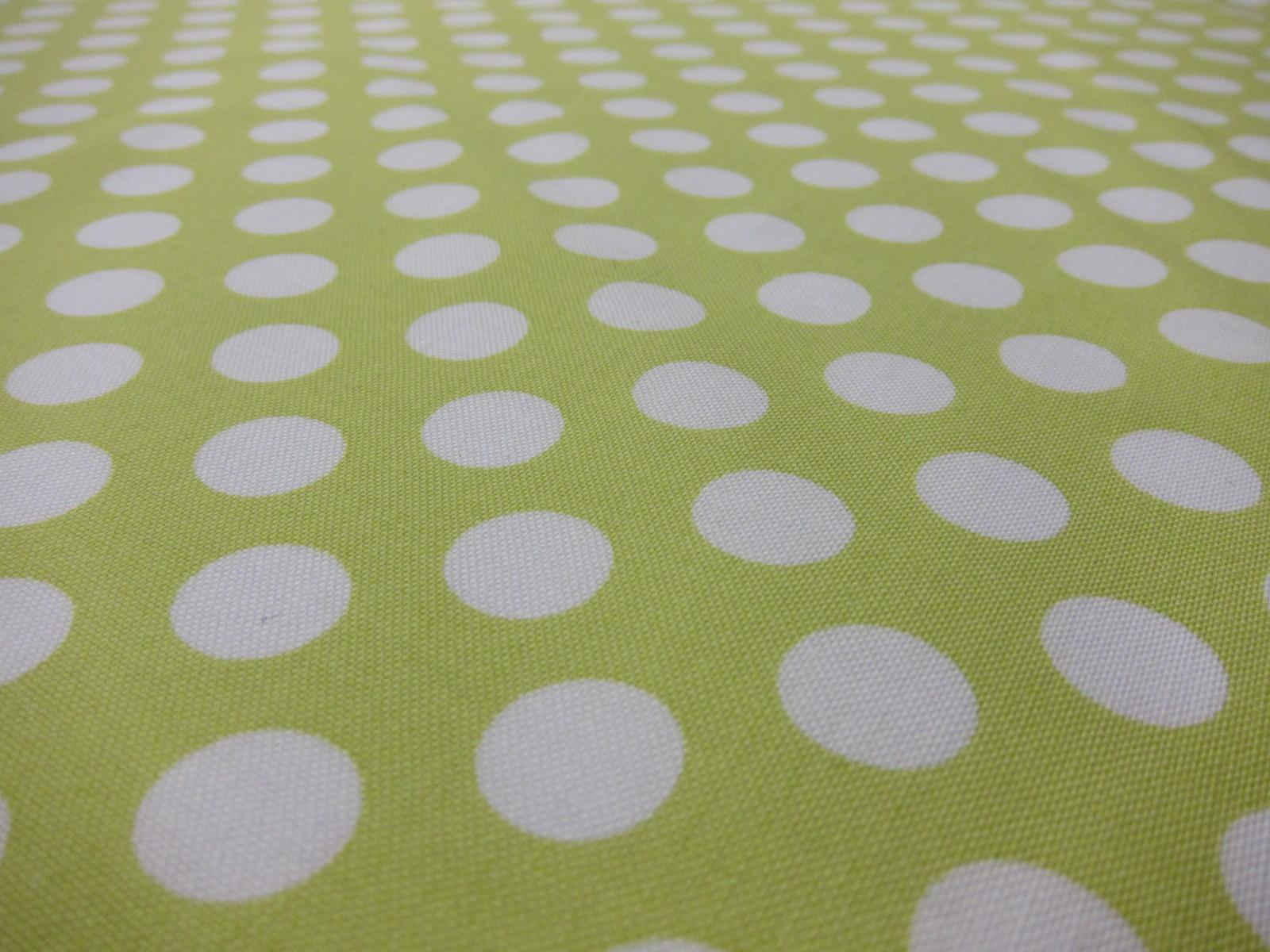 Cotton Broadcloth Print2