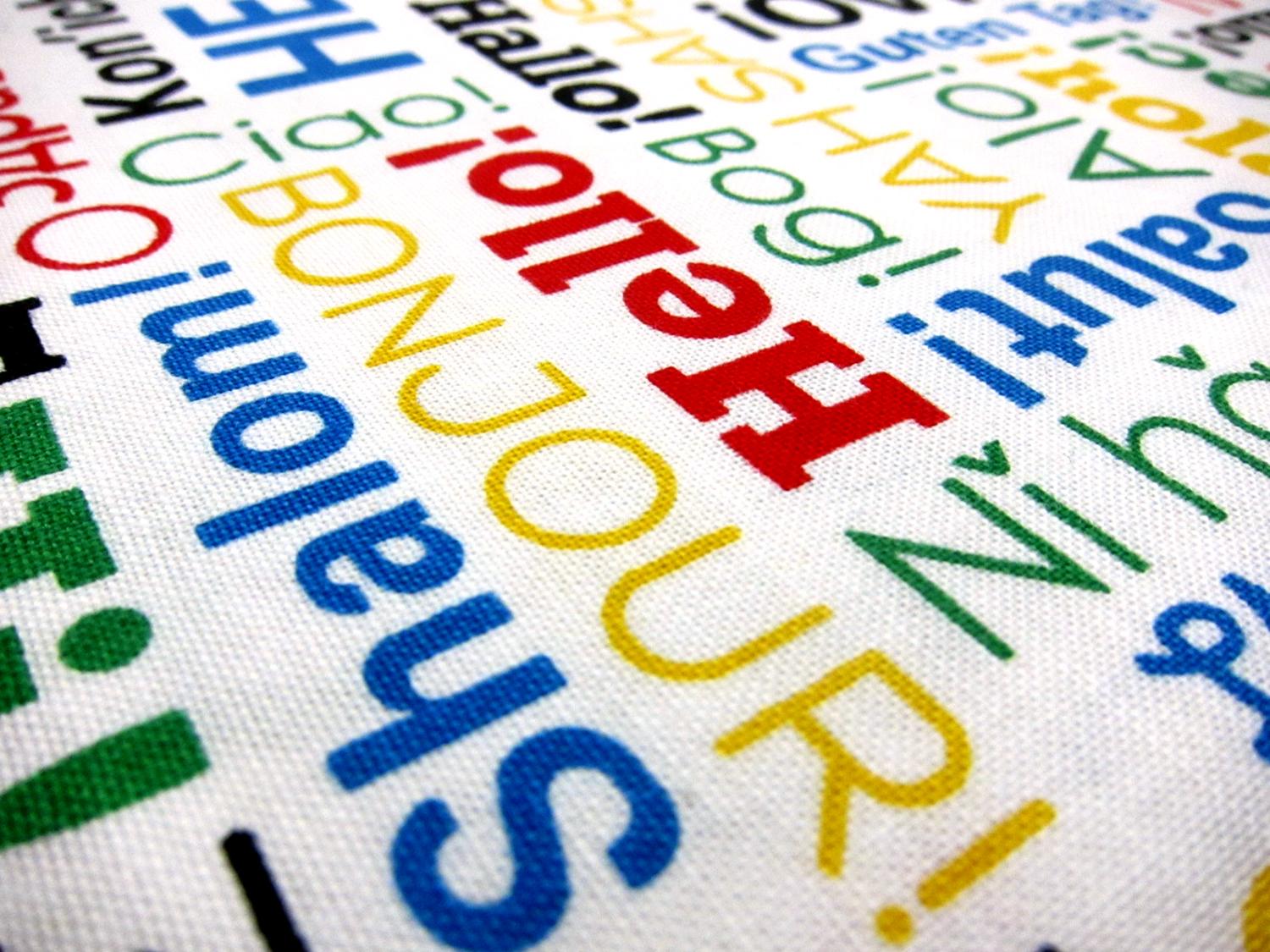 Cotton Broadcloth Print 2