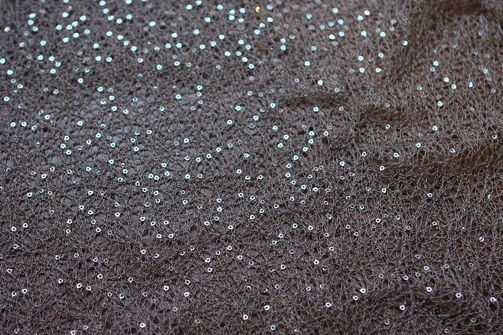 Sequins on Poly Mesh0